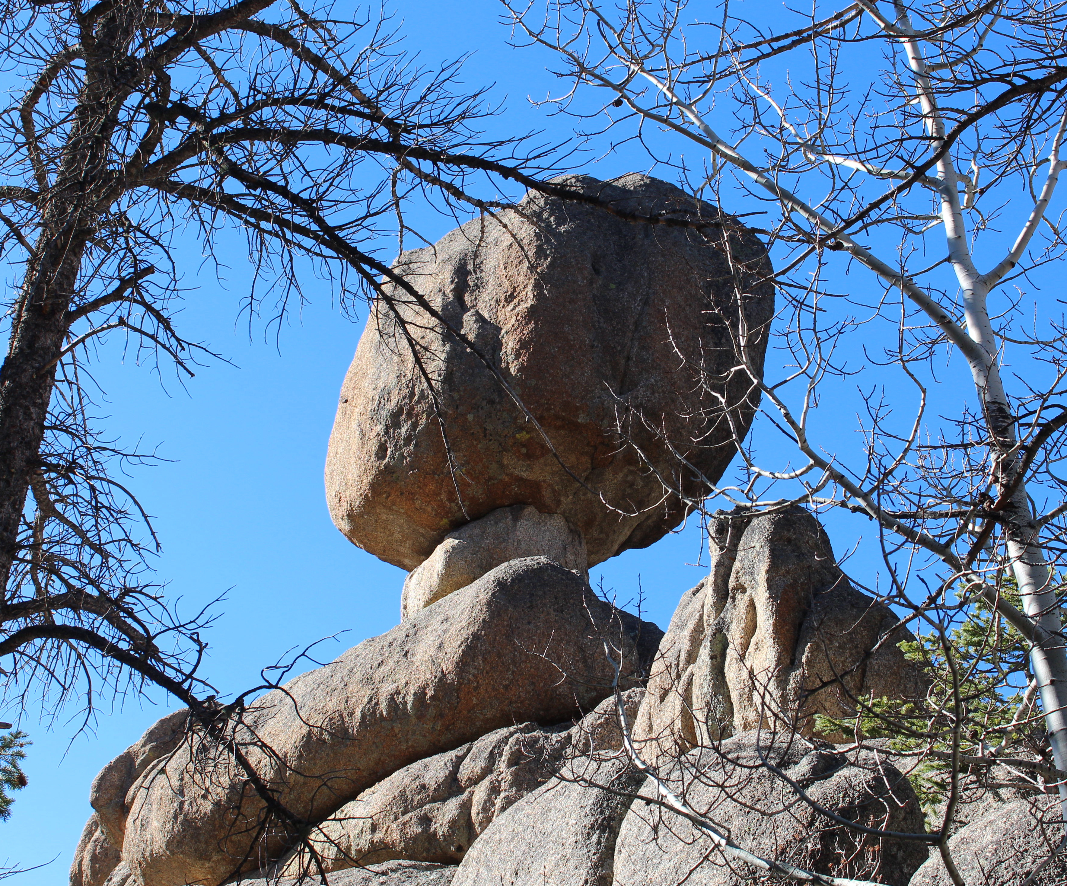 Macro and Micro Picture of the Day 2020-11-04