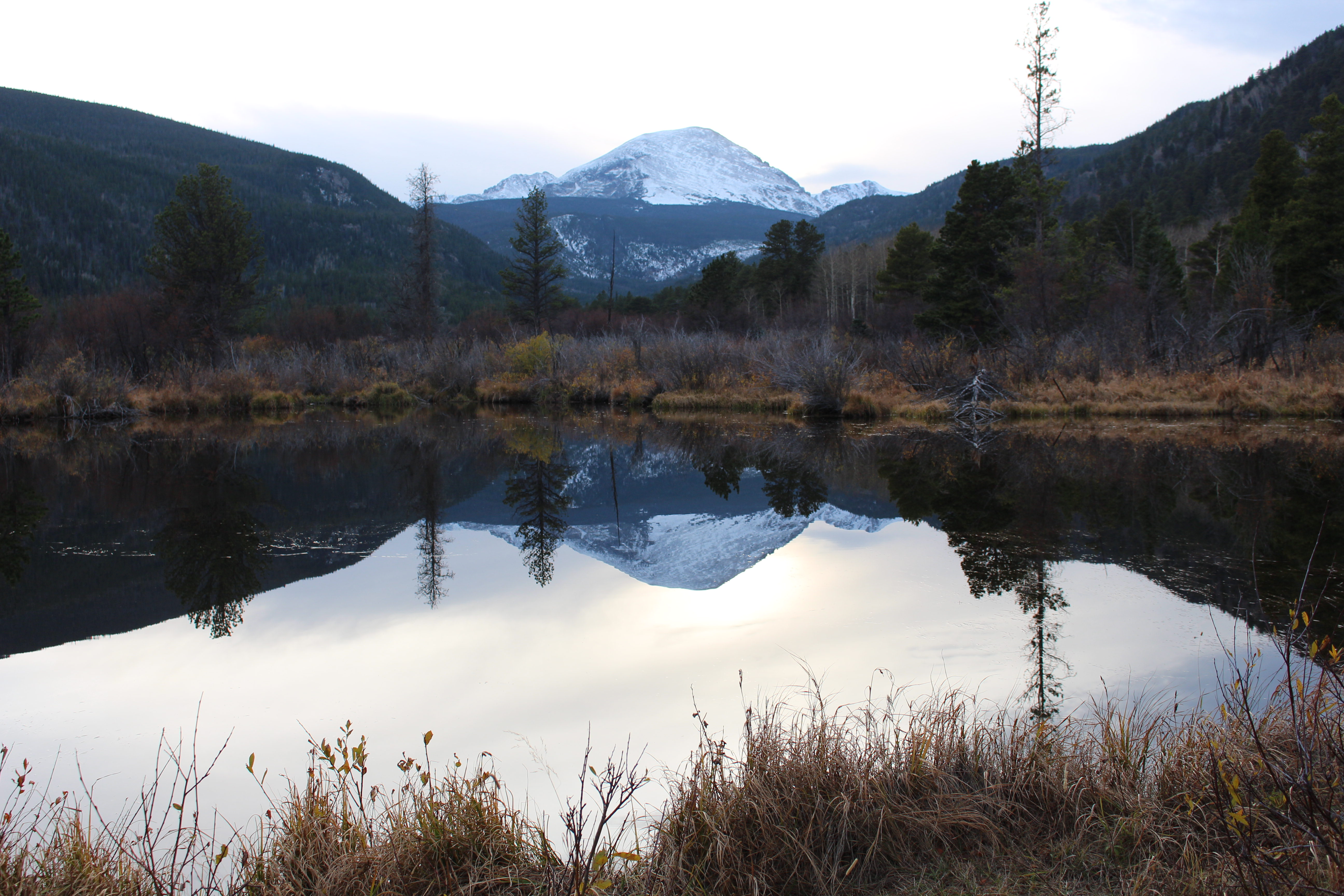 Macro and Micro Picture of the Day 2020-11-05