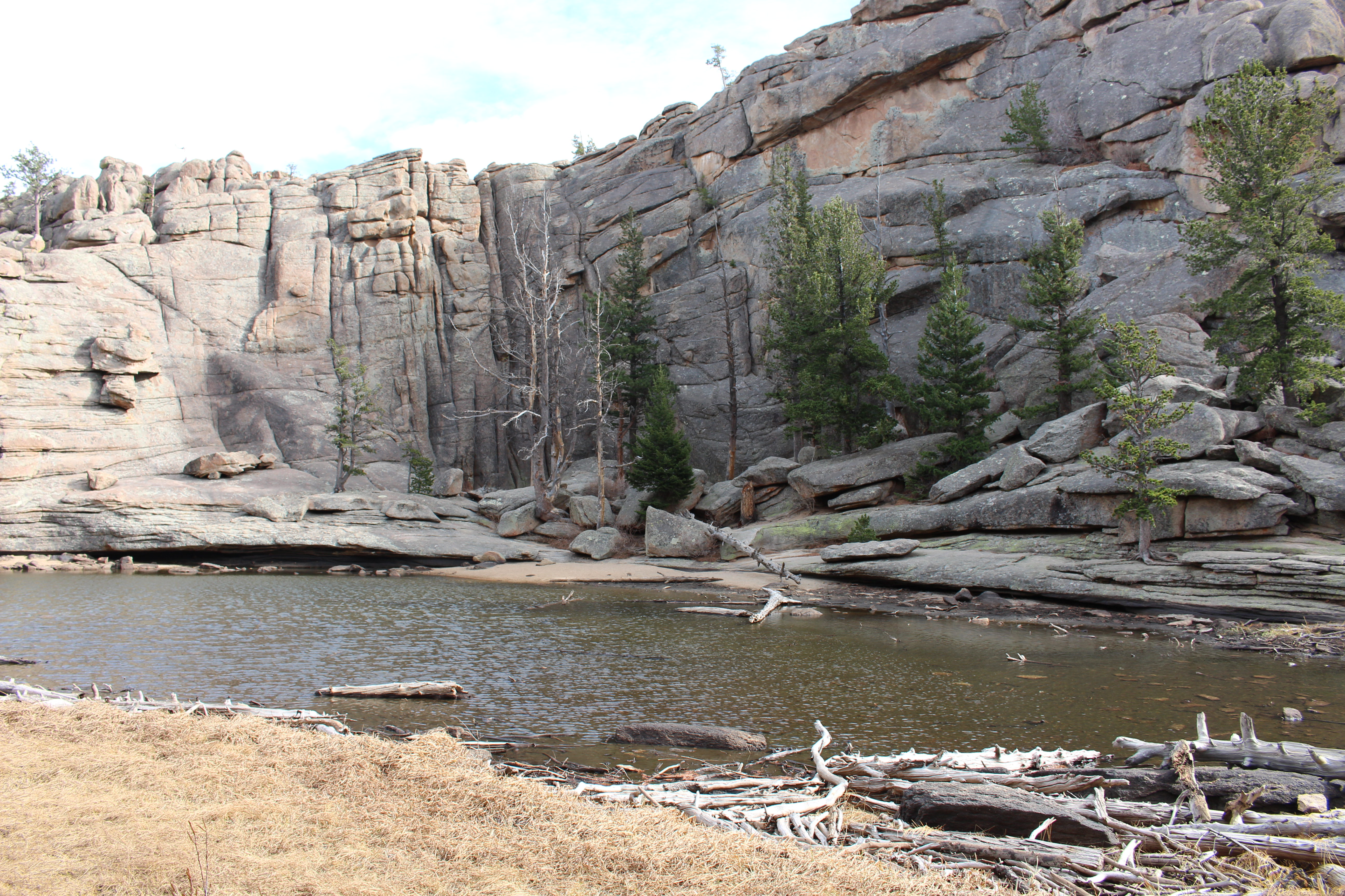 Macro and Micro Picture of the Day 2020-11-08