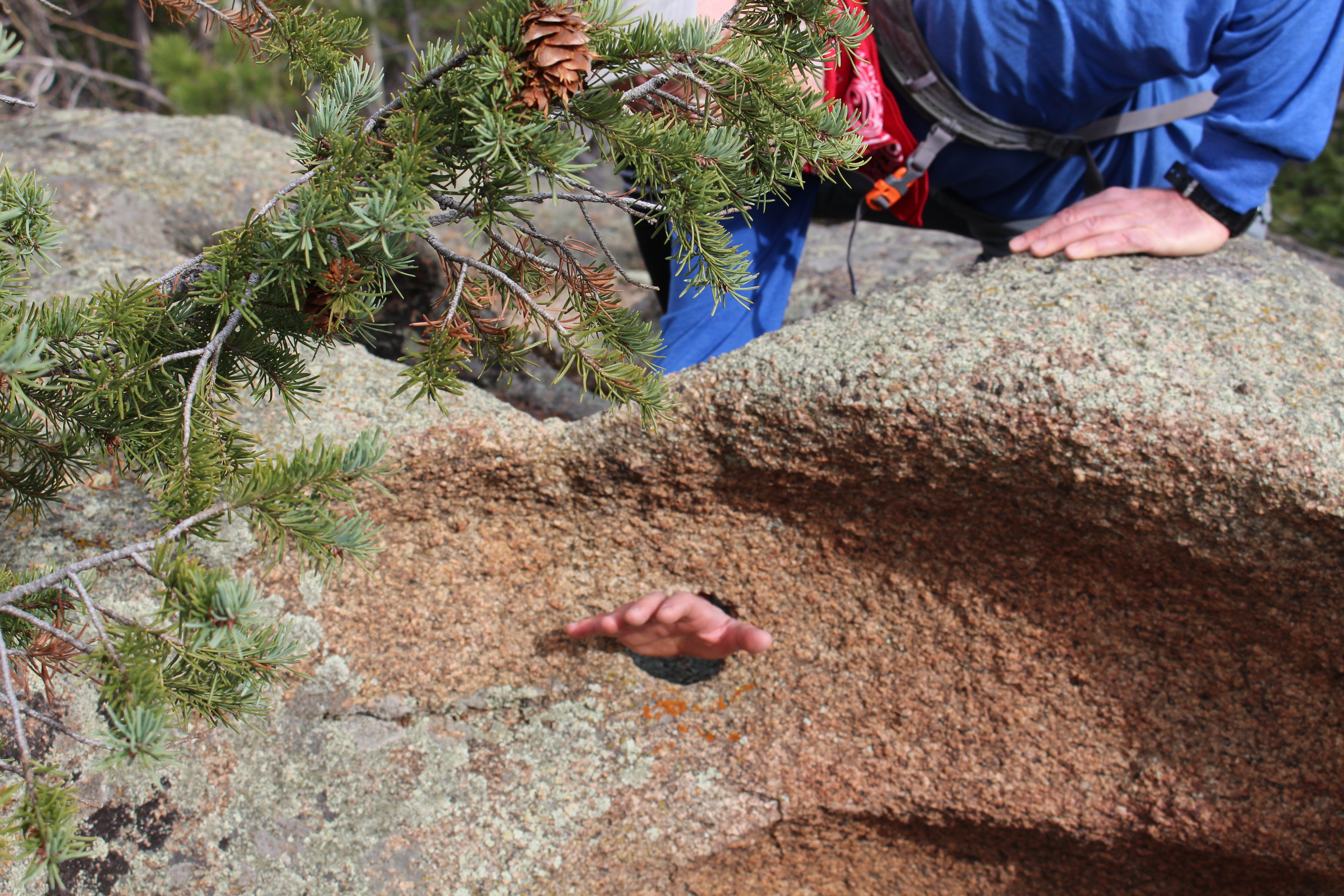 Macro and Micro Picture of the Day 2020-11-09