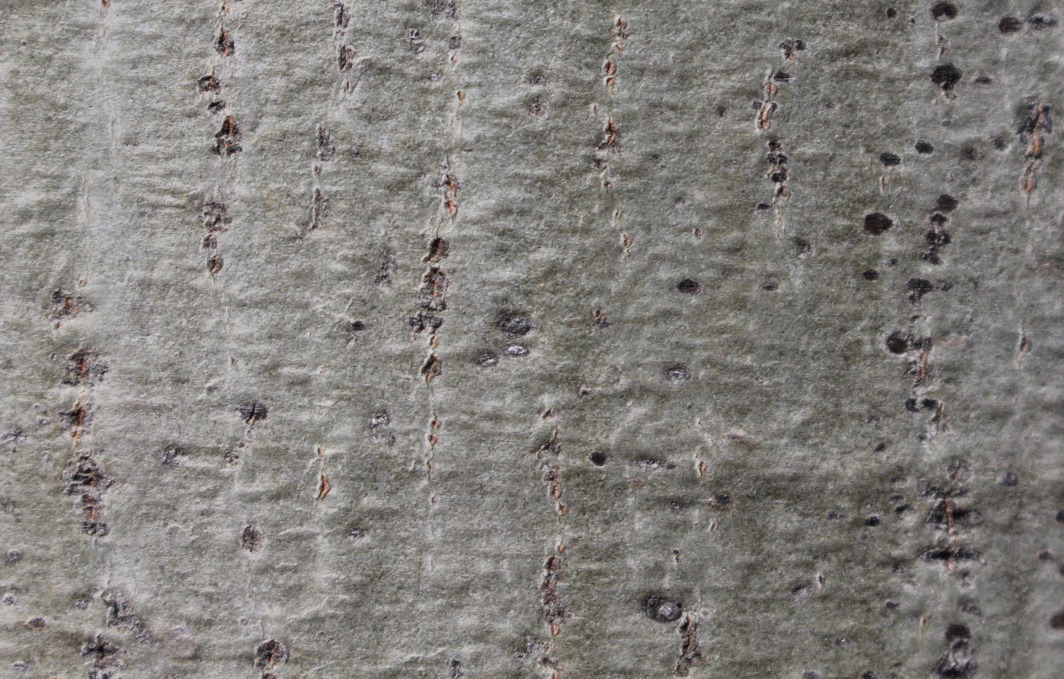 Macro and Micro Picture of the Day 2020-11-15