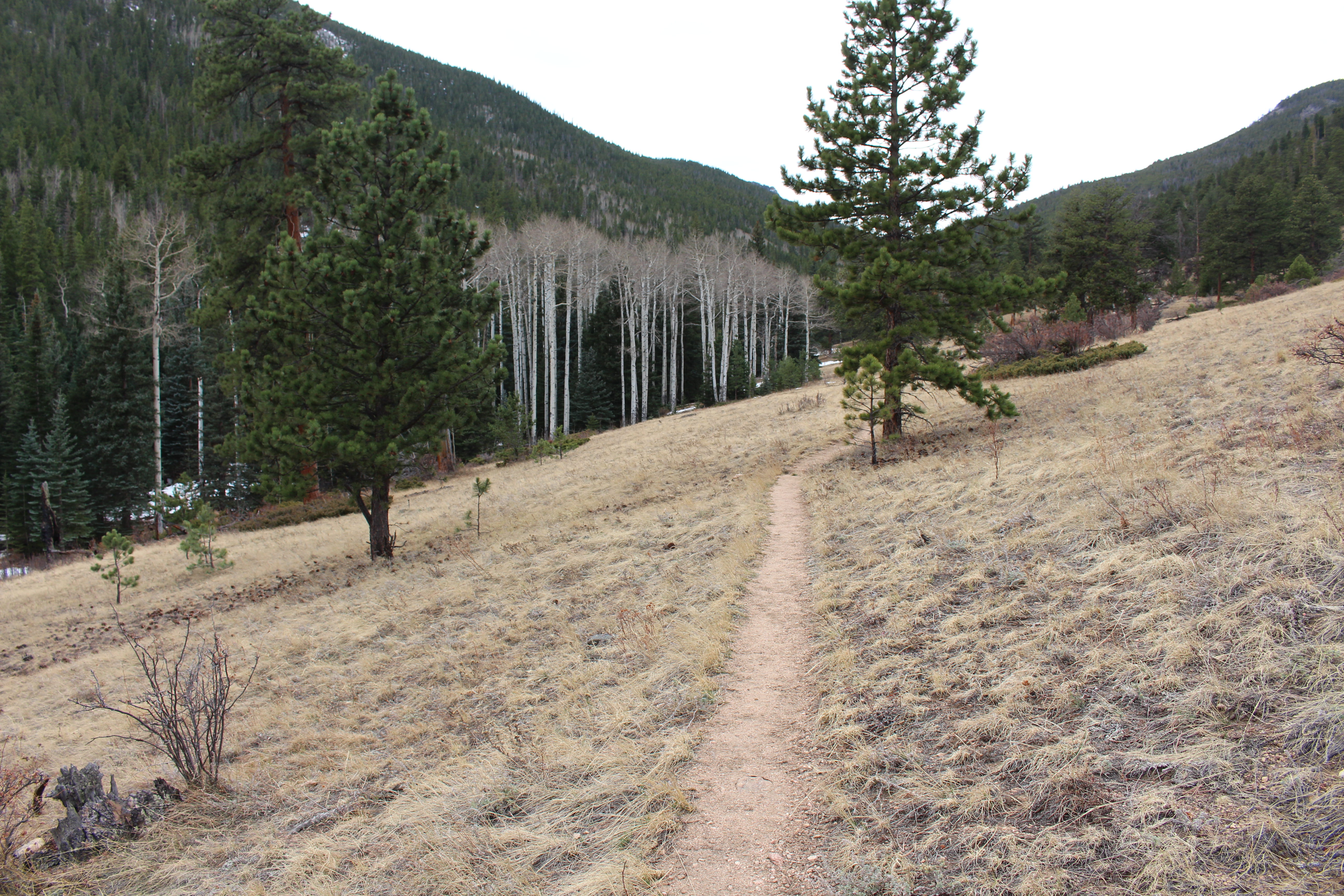 Macro and Micro Picture of the Day 2020-11-18