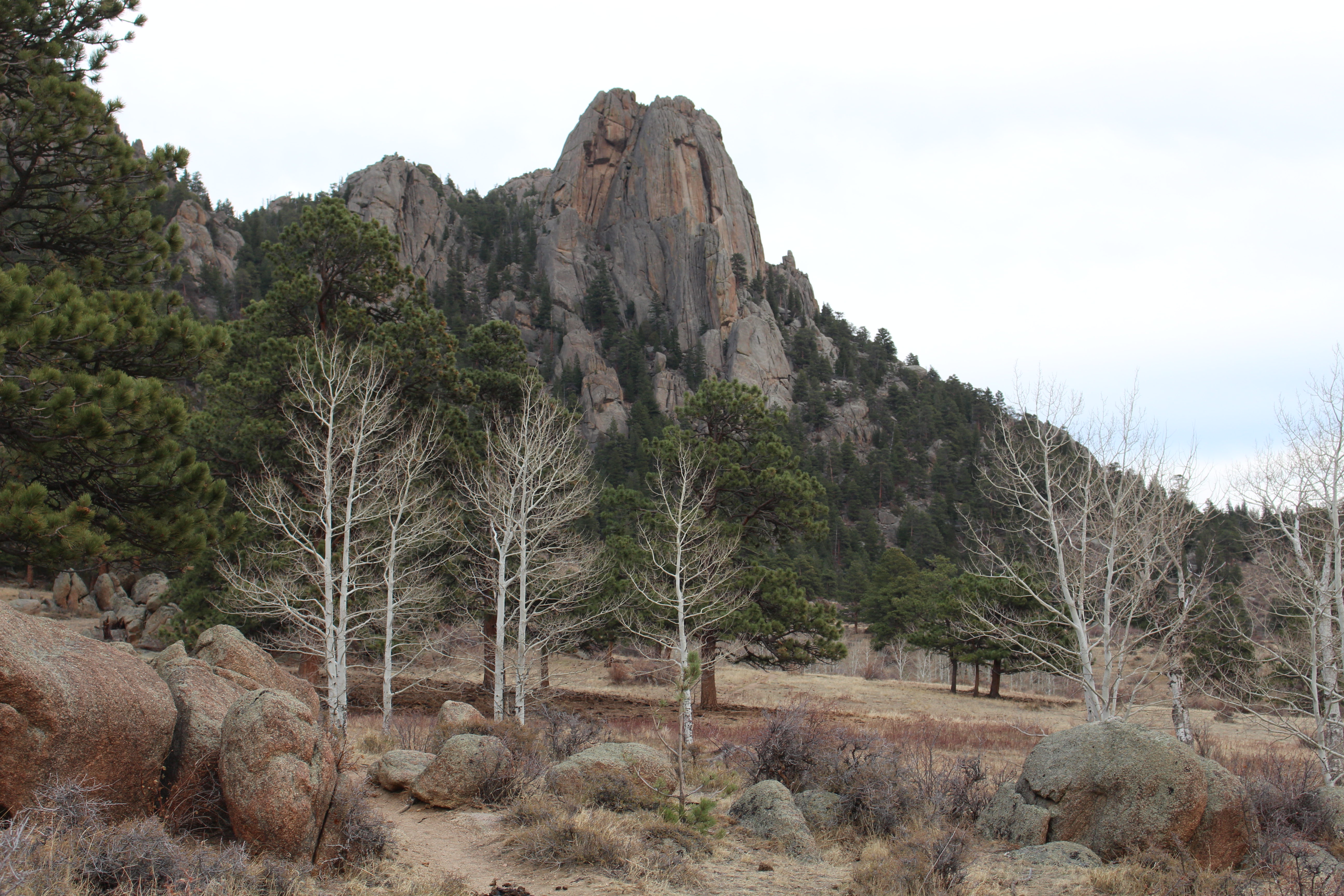 Macro and Micro Picture of the Day 2020-11-19