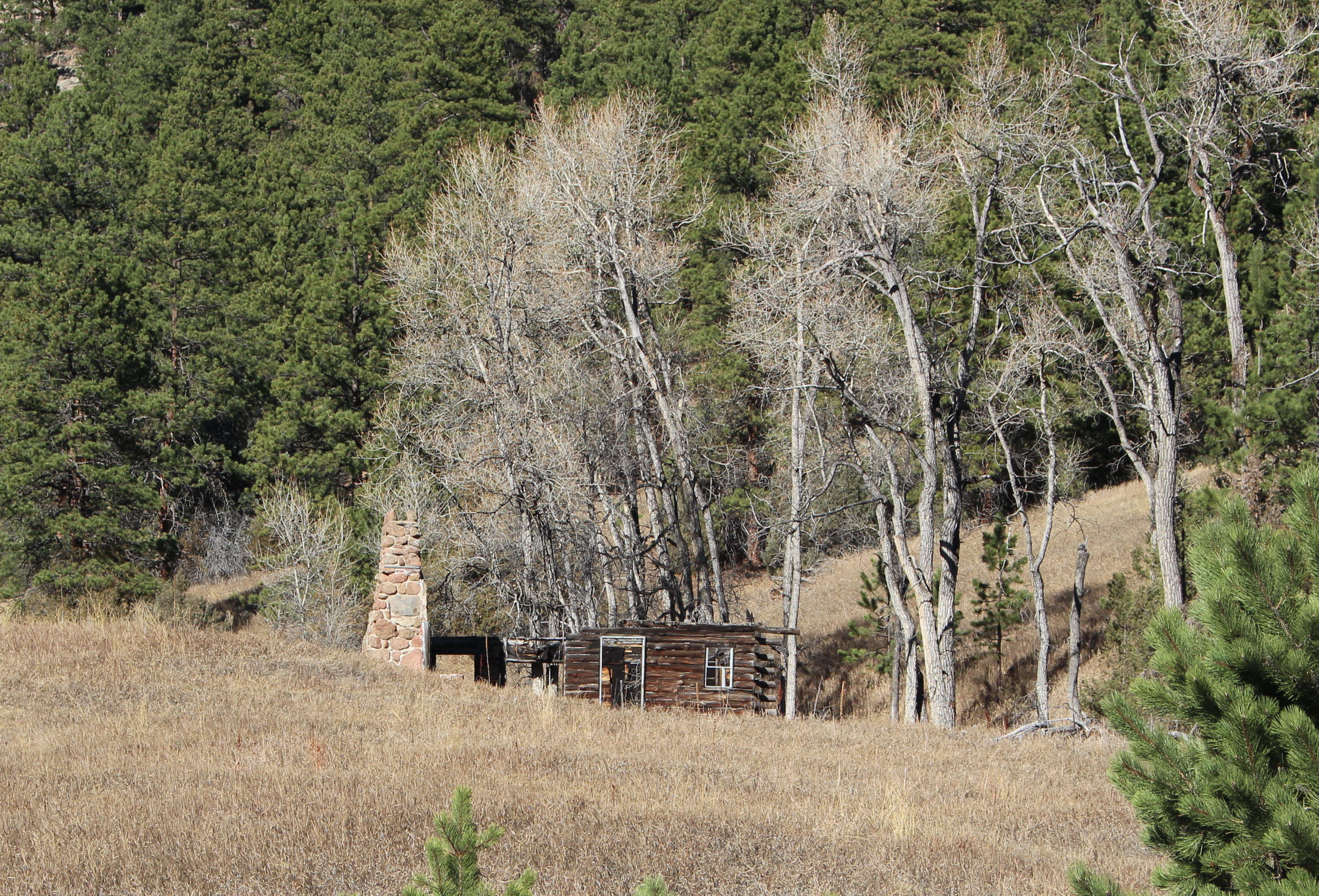 Macro and Micro Picture of the Day 2020-11-23