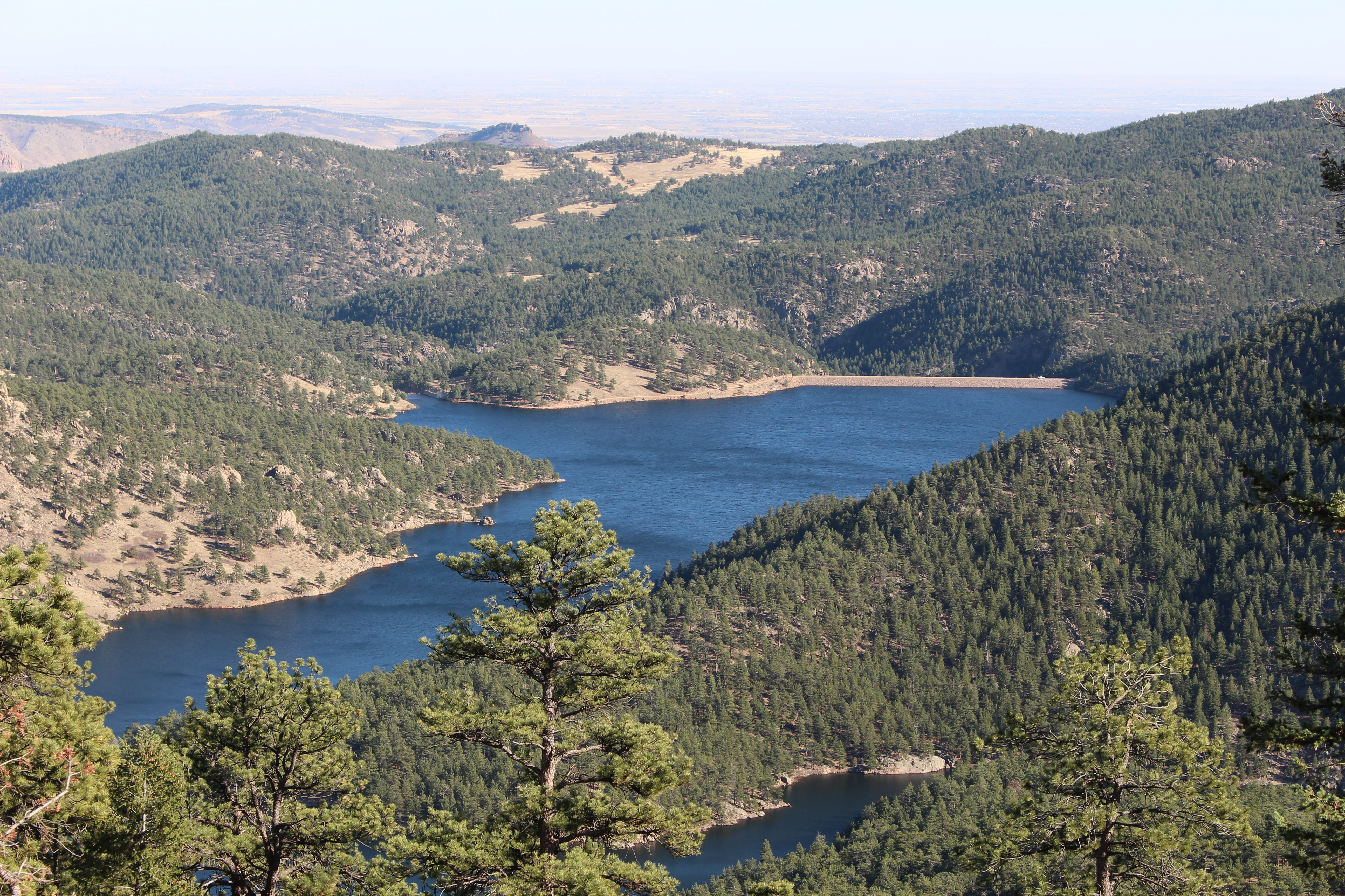 Macro and Micro Picture of the Day 2020-11-24