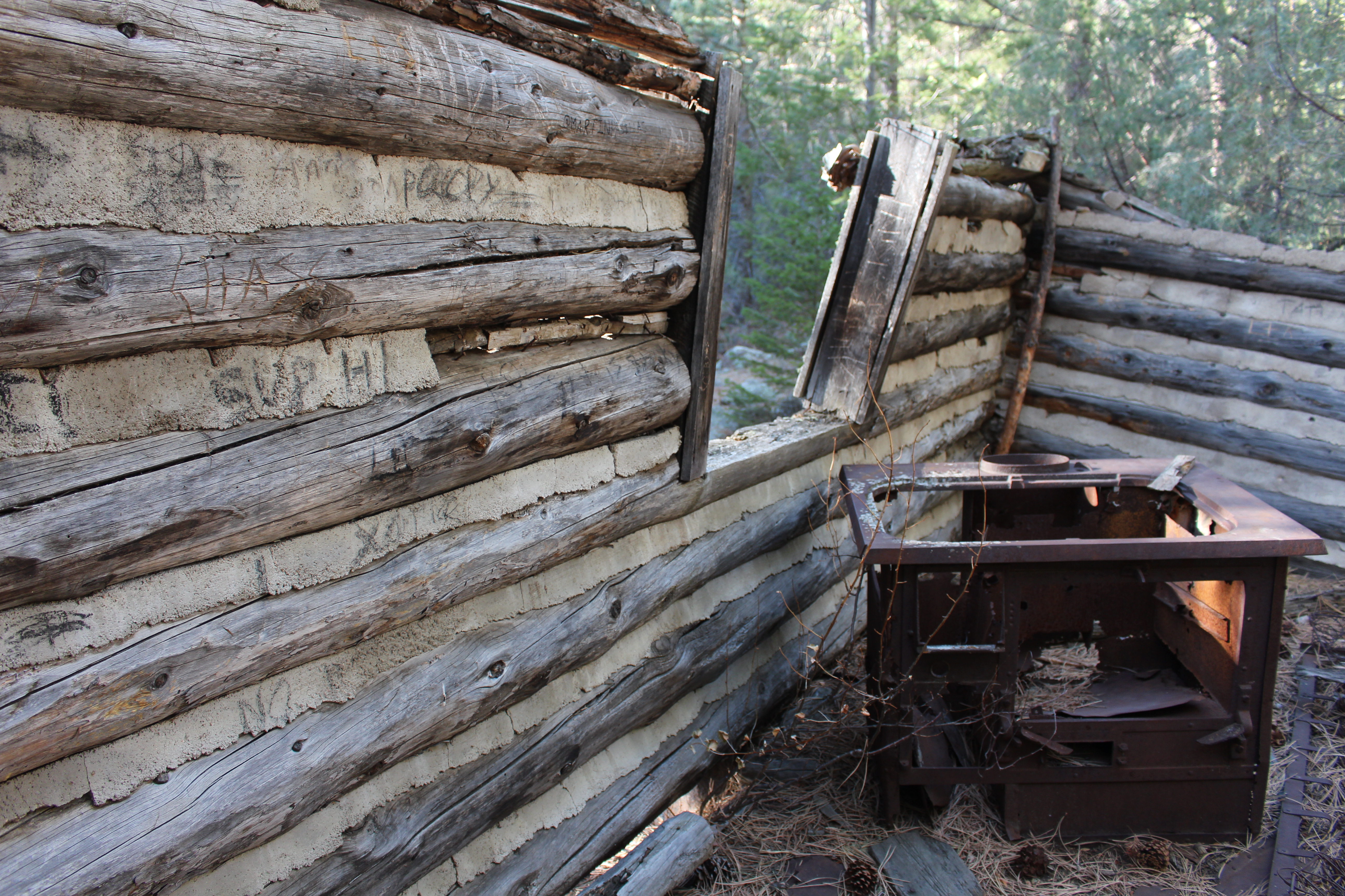 Macro and Micro Picture of the Day 2020-11-25