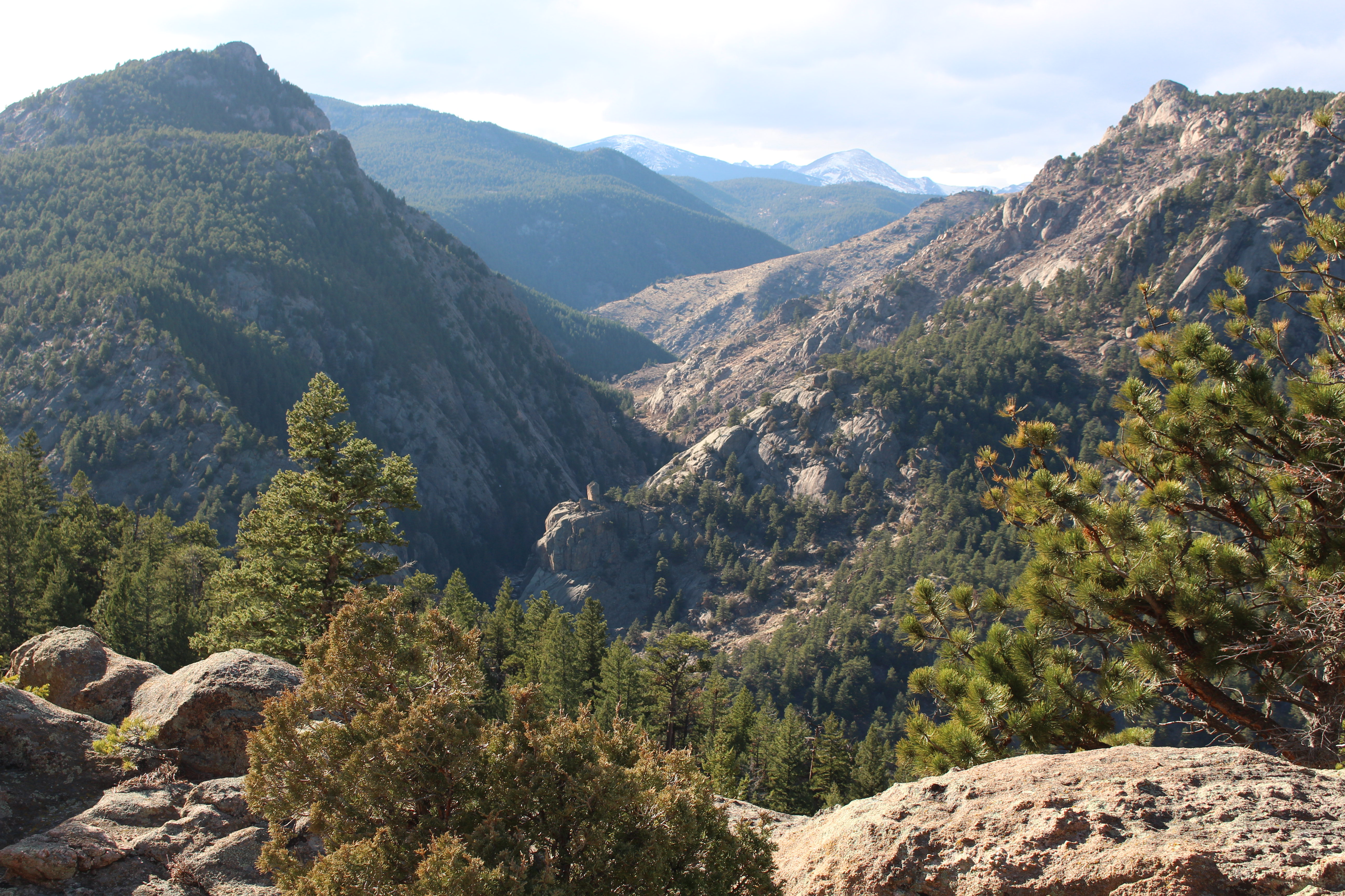 Macro and Micro Picture of the Day 2020-11-26