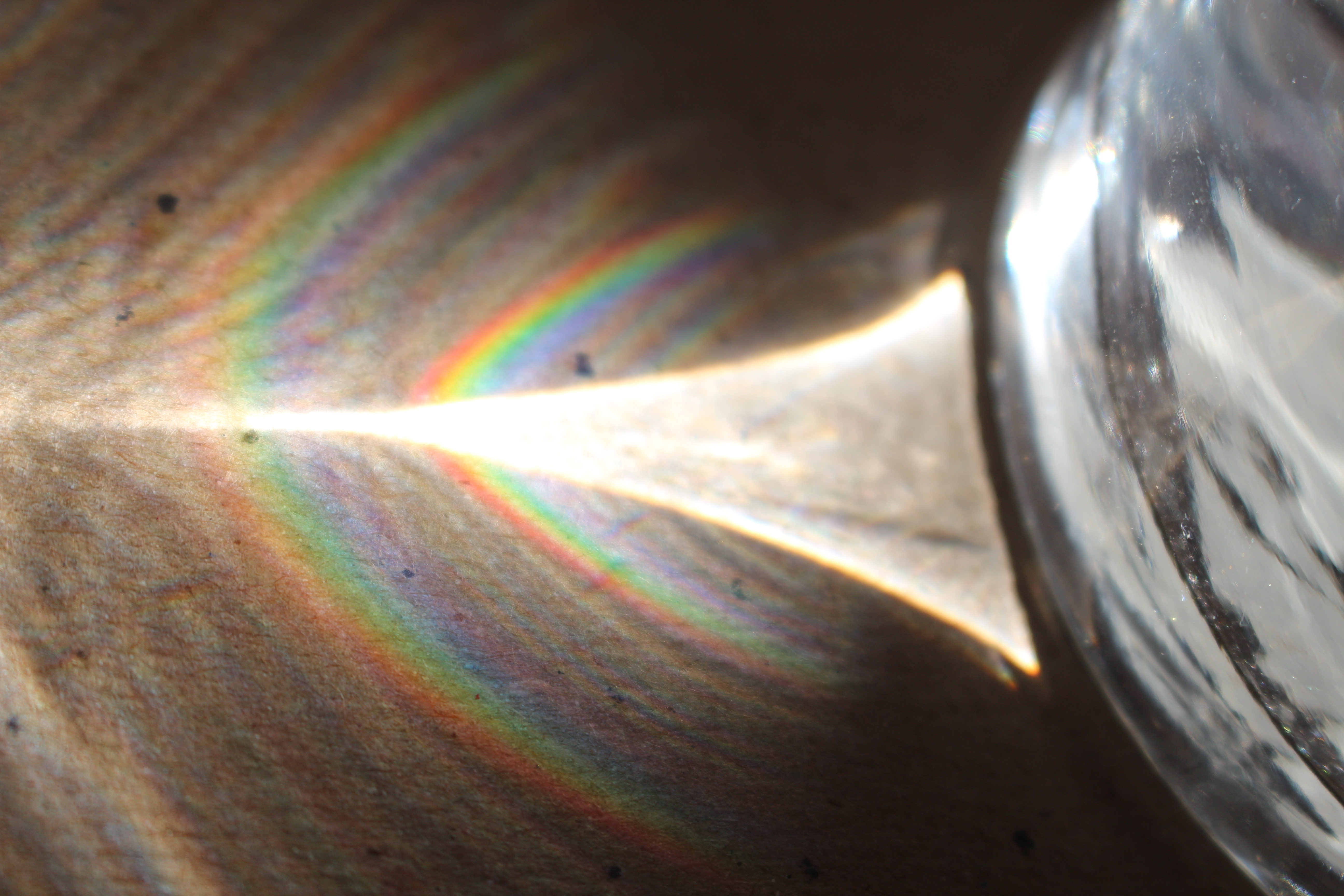 Macro and Micro Picture of the Day 2020-11-28