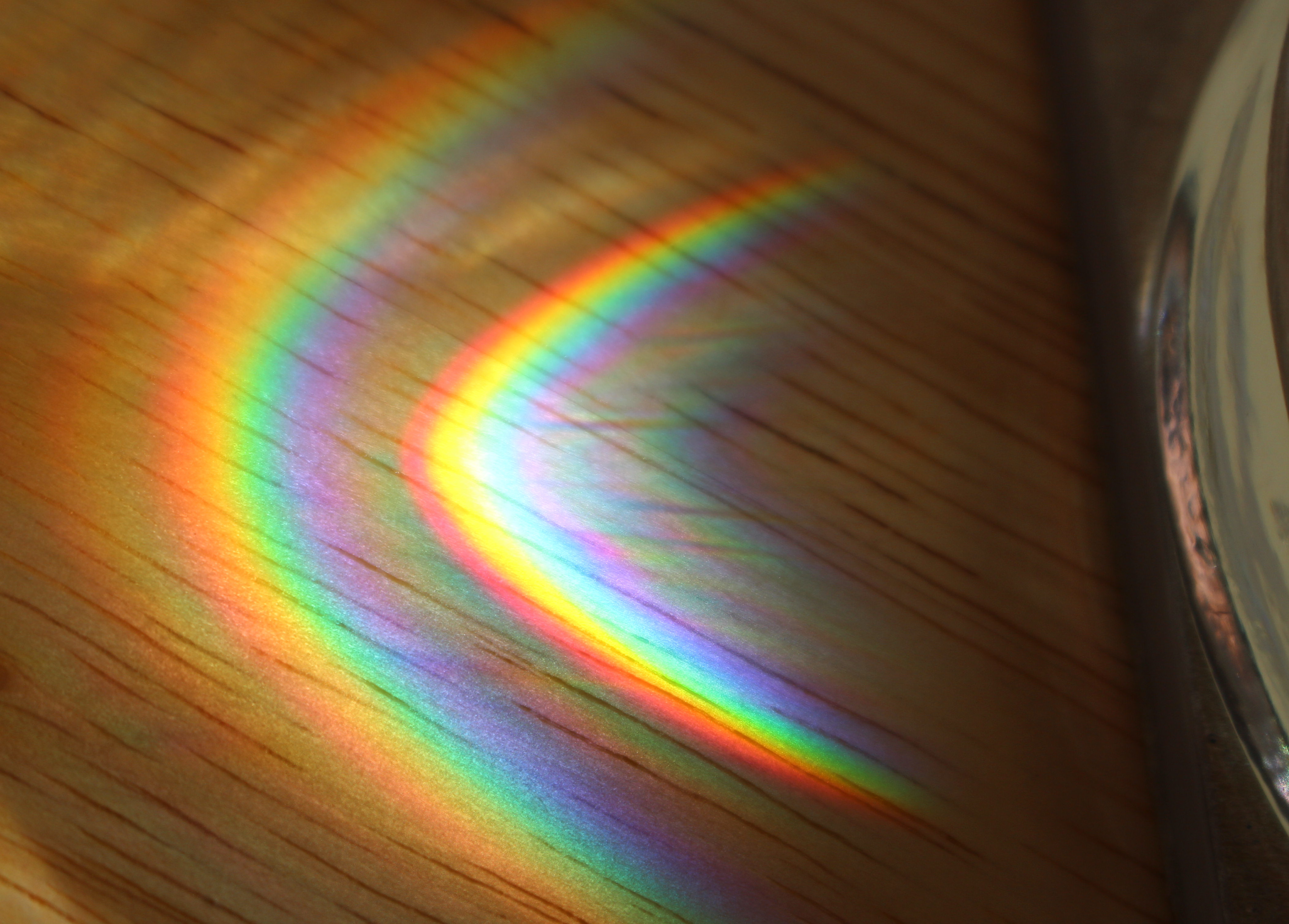 Macro and Micro Picture of the Day 2020-11-29