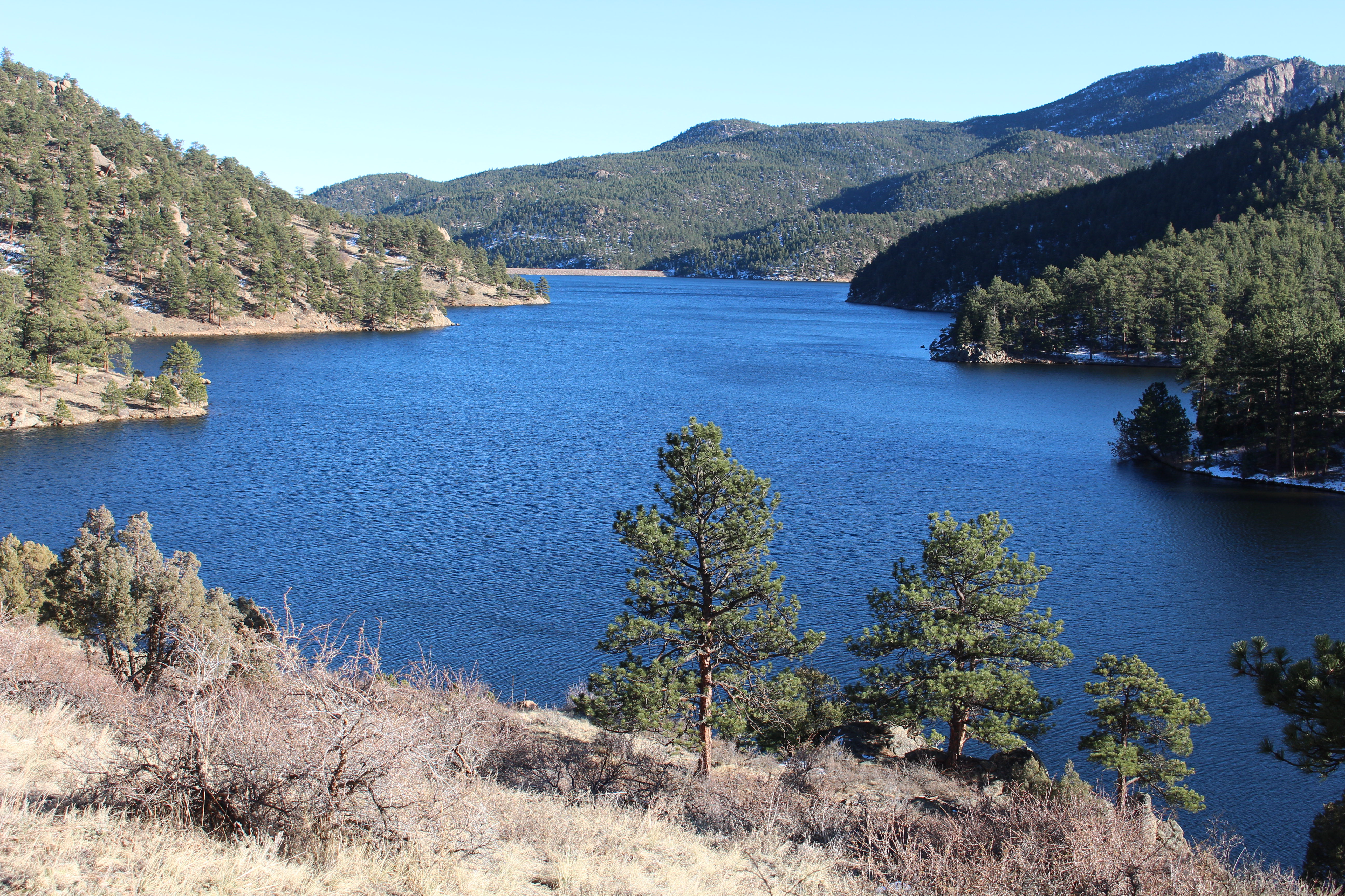 Macro and Micro Picture of the Day 2020-12-03