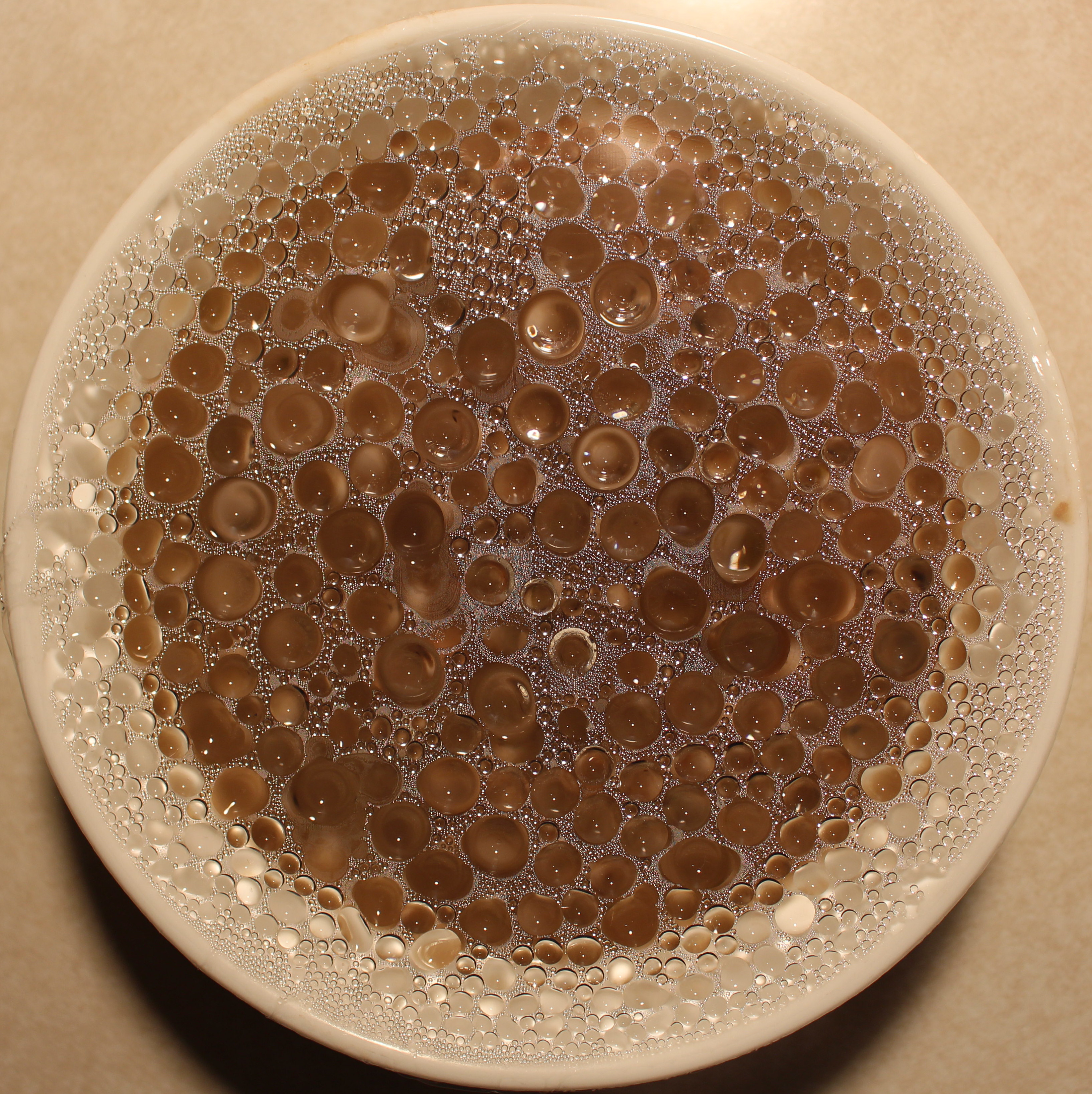 Macro and Micro Picture of the Day 2020-12-06