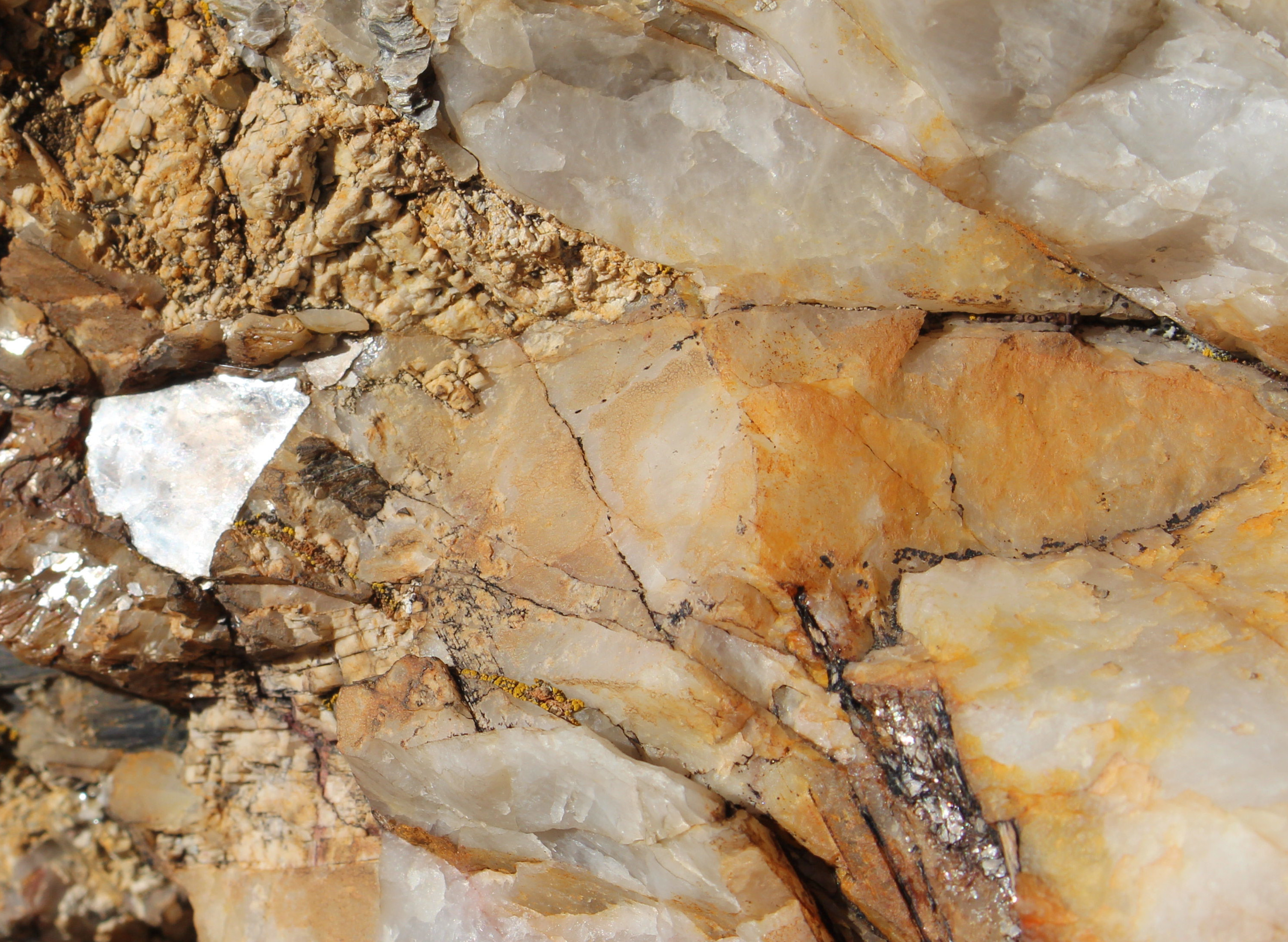 Macro and Micro Picture of the Day 2020-12-07