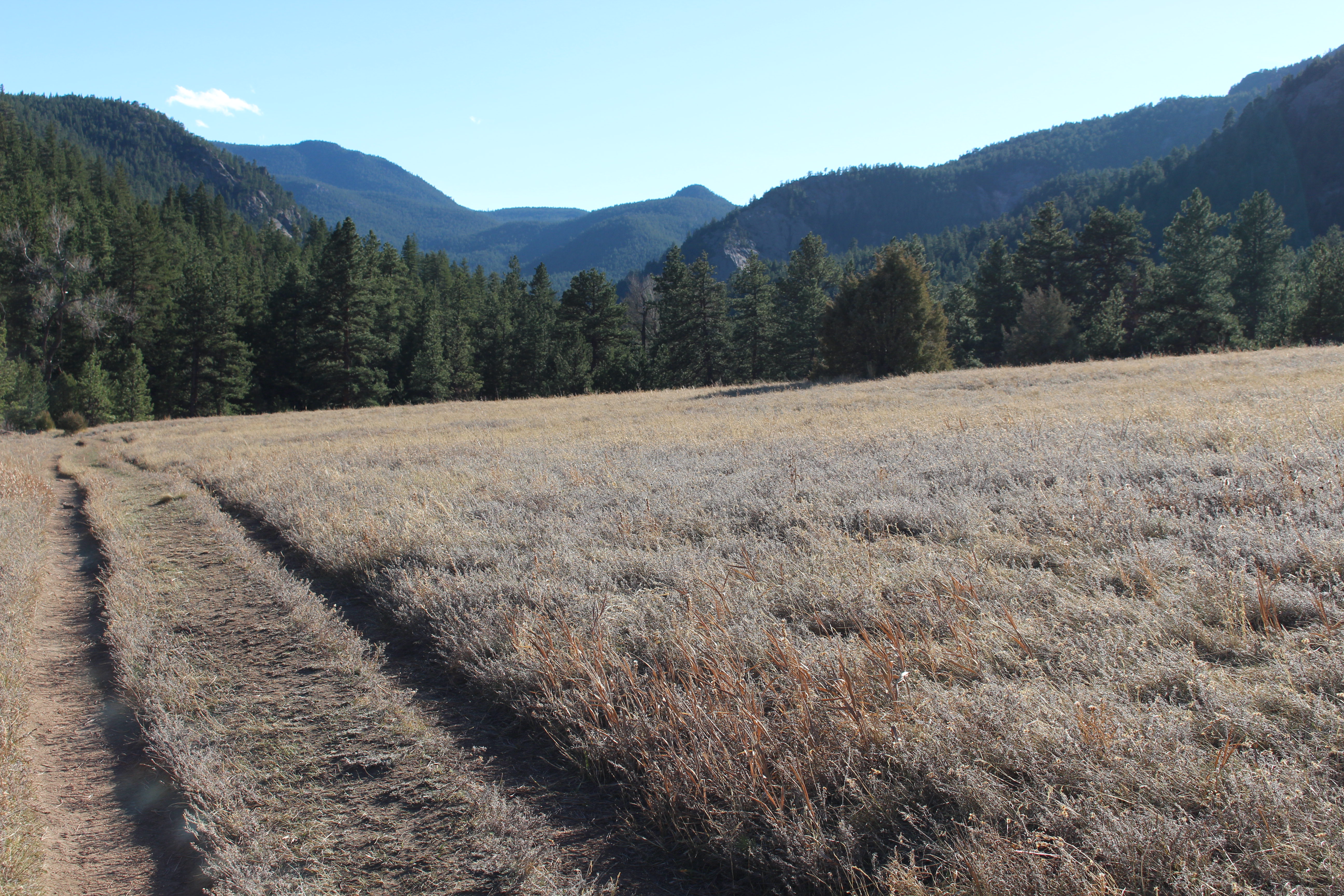 Macro and Micro Picture of the Day 2020-12-08