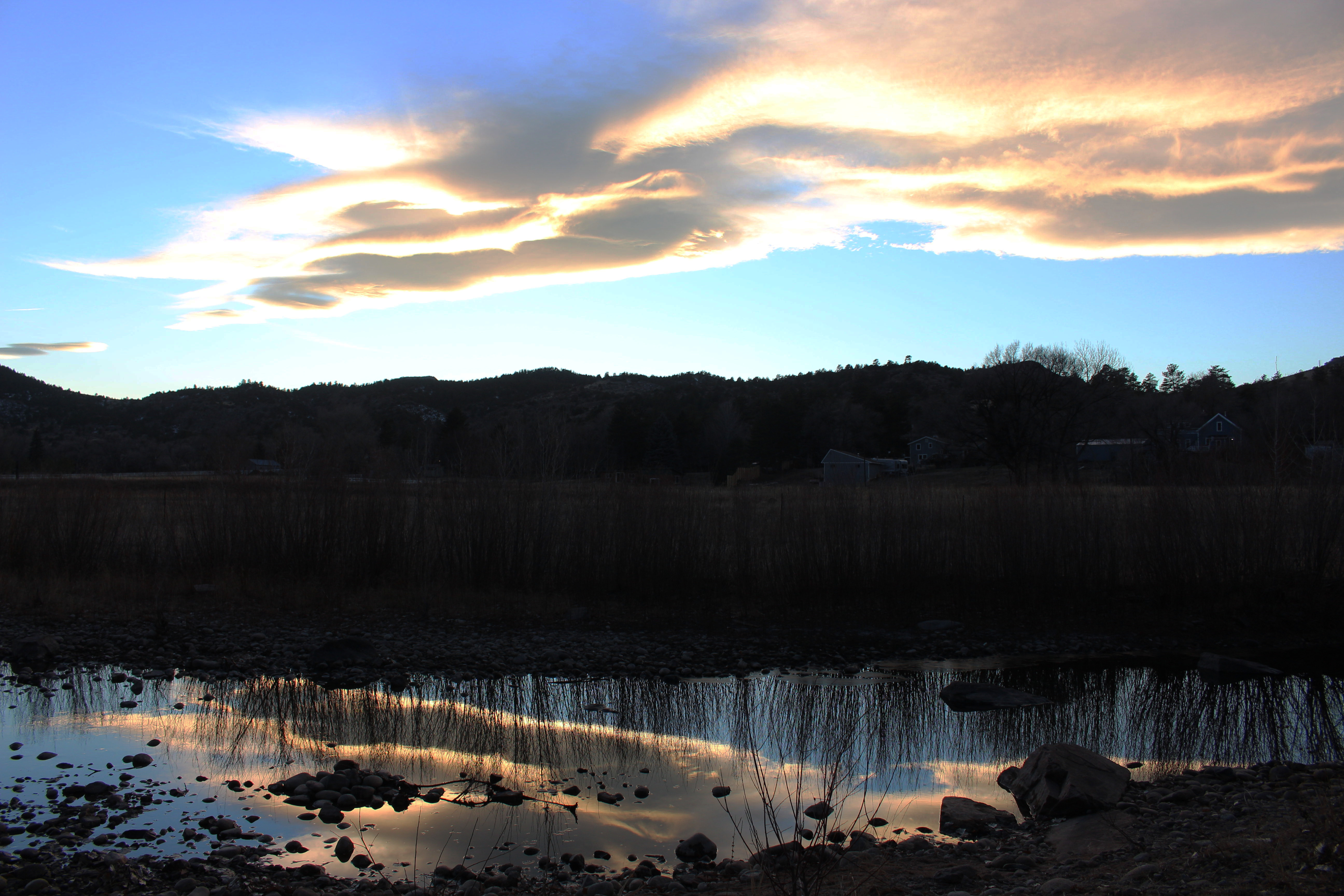 Macro and Micro Picture of the Day 2020-12-10