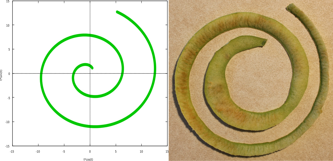 Macro and Micro Picture of the Day 2020-12-11