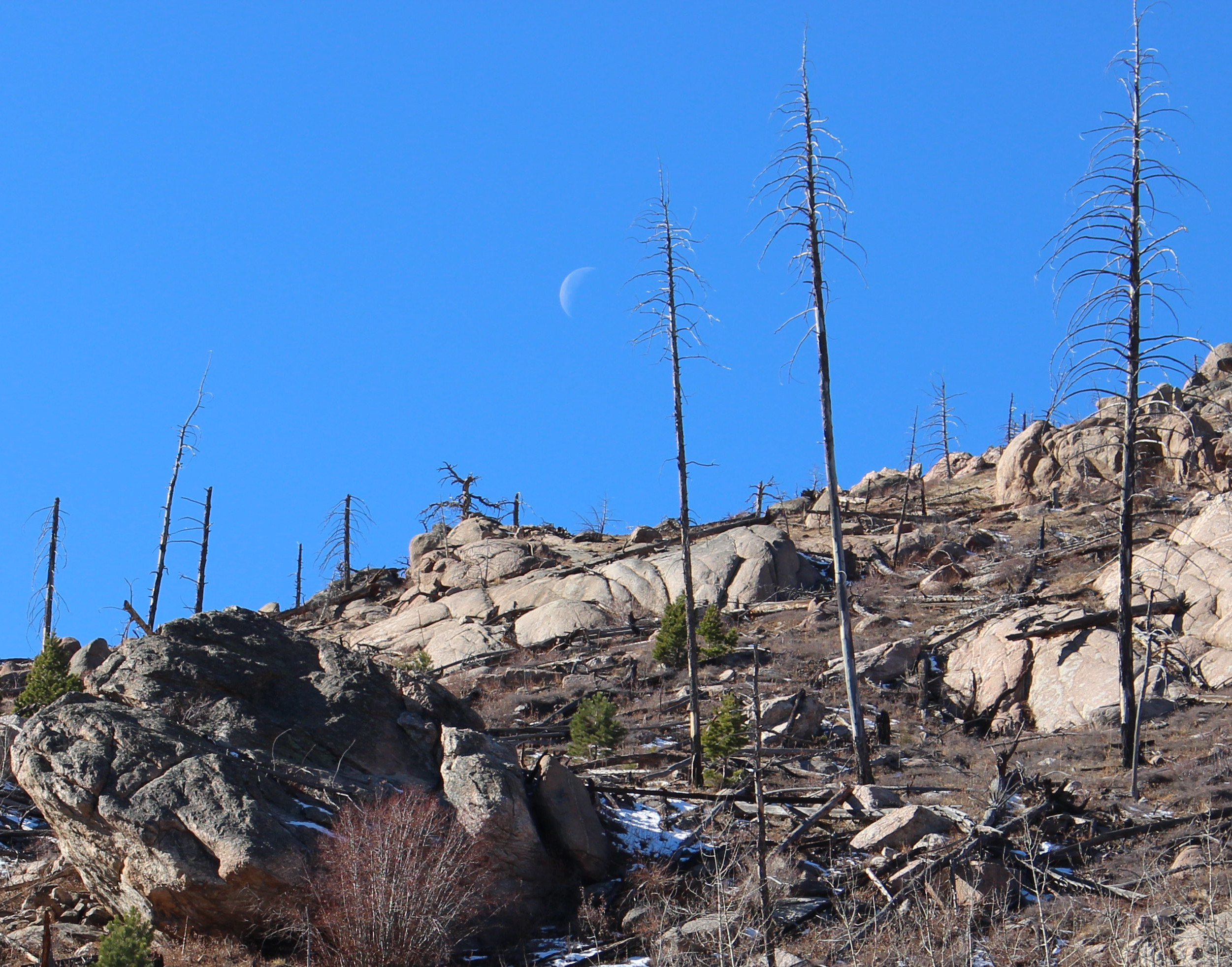 Macro and Micro Picture of the Day 2020-12-13