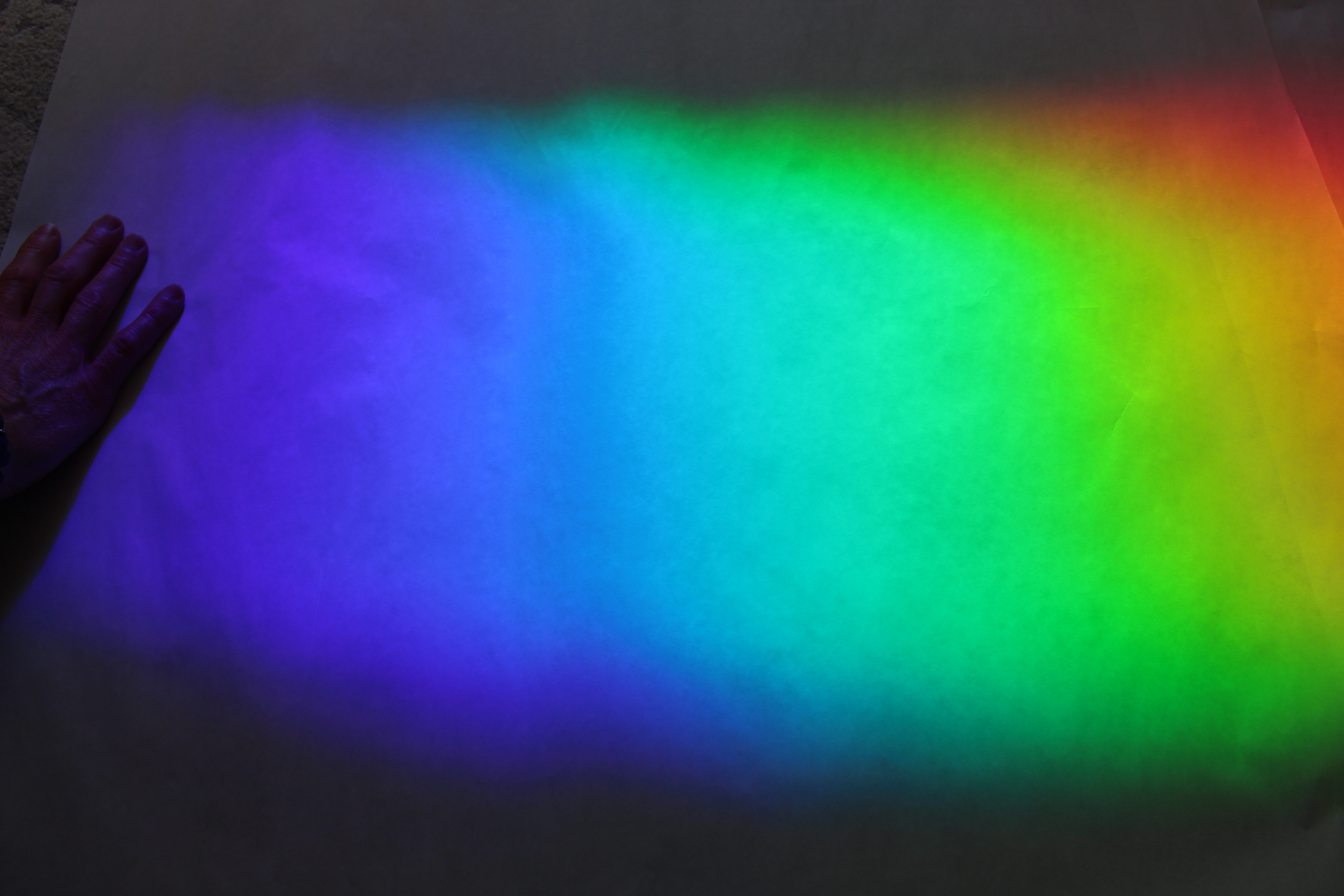 Macro and Micro Picture of the Day 2020-12-14