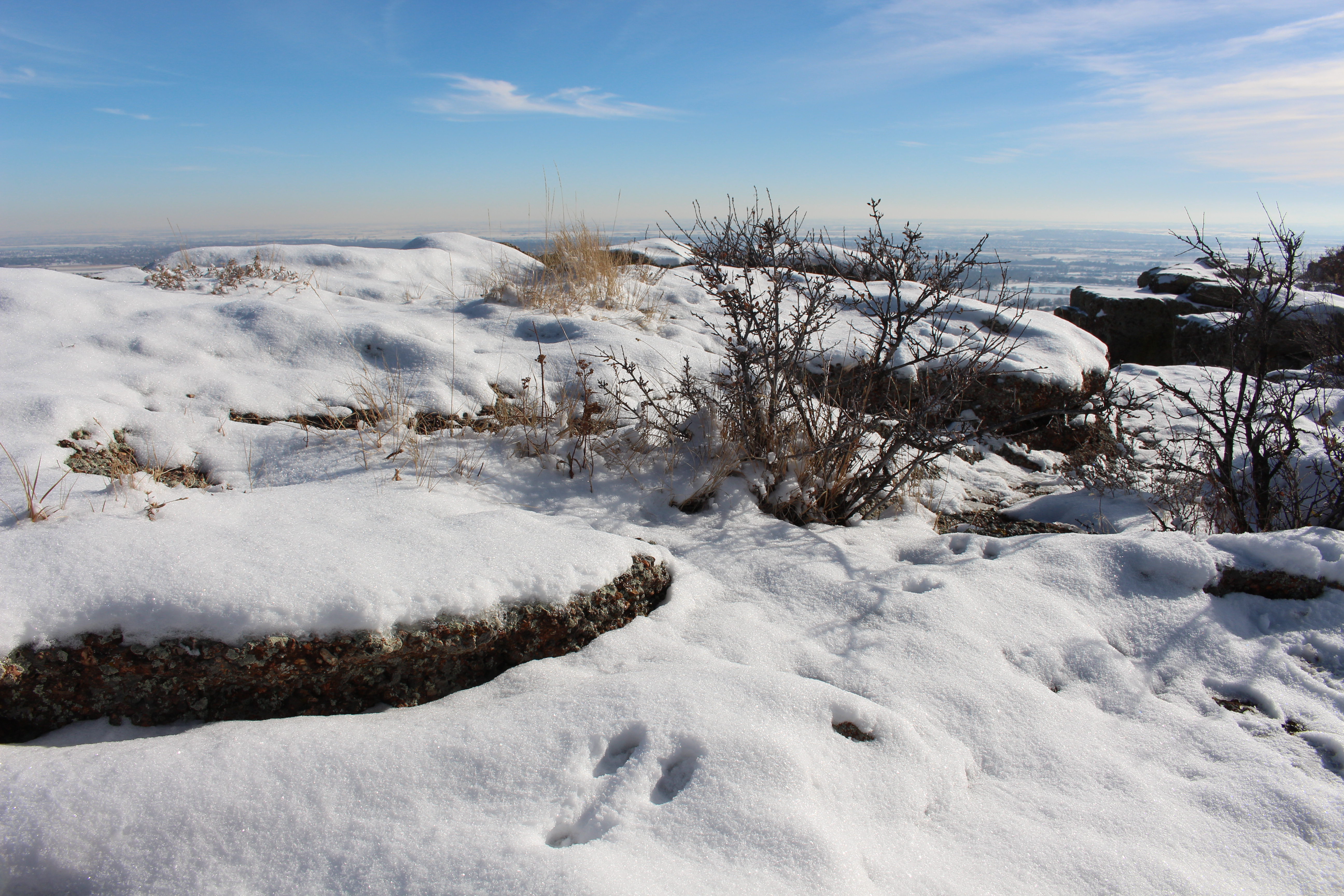 Macro and Micro Picture of the Day 2020-12-16