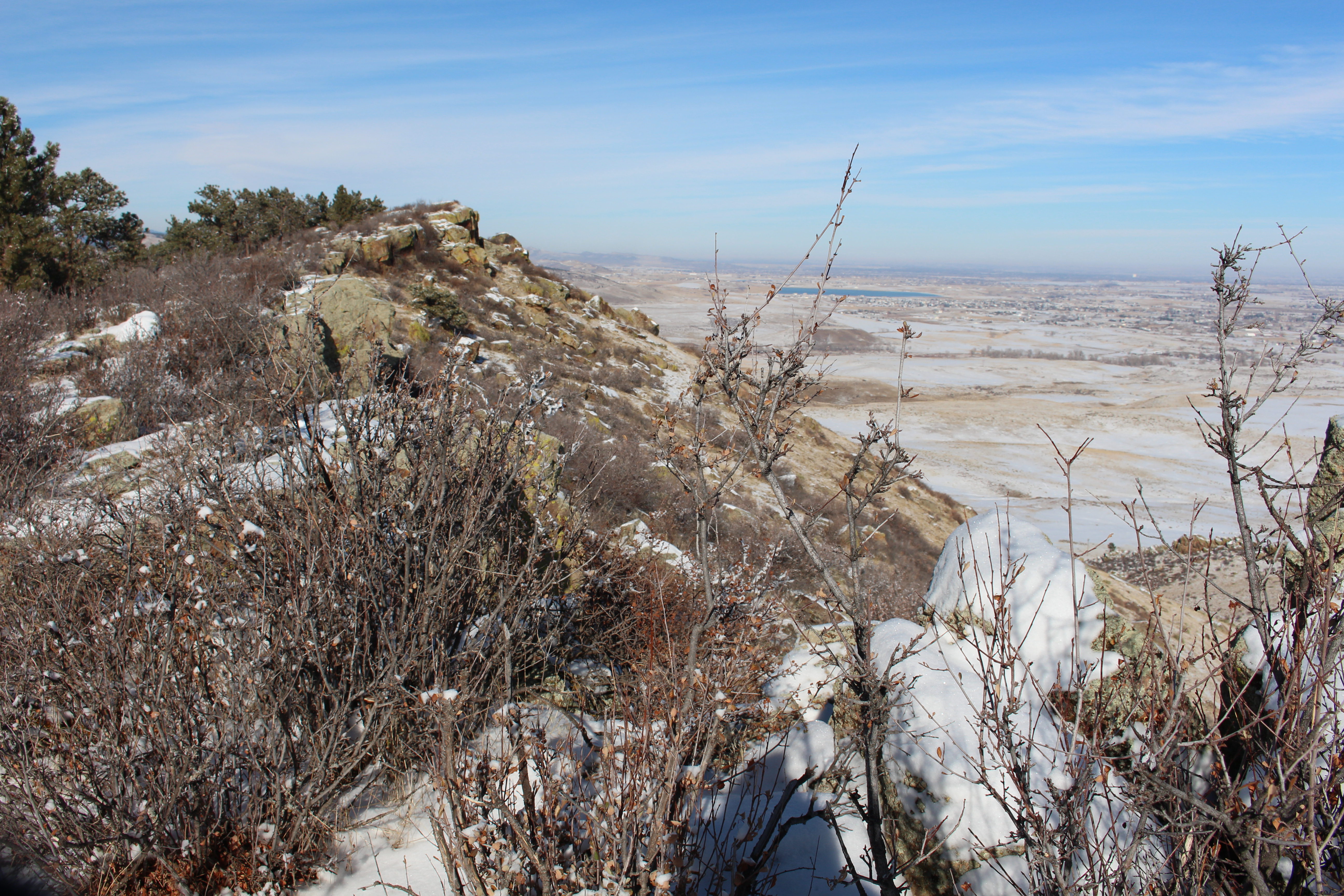 Macro and Micro Picture of the Day 2020-12-17