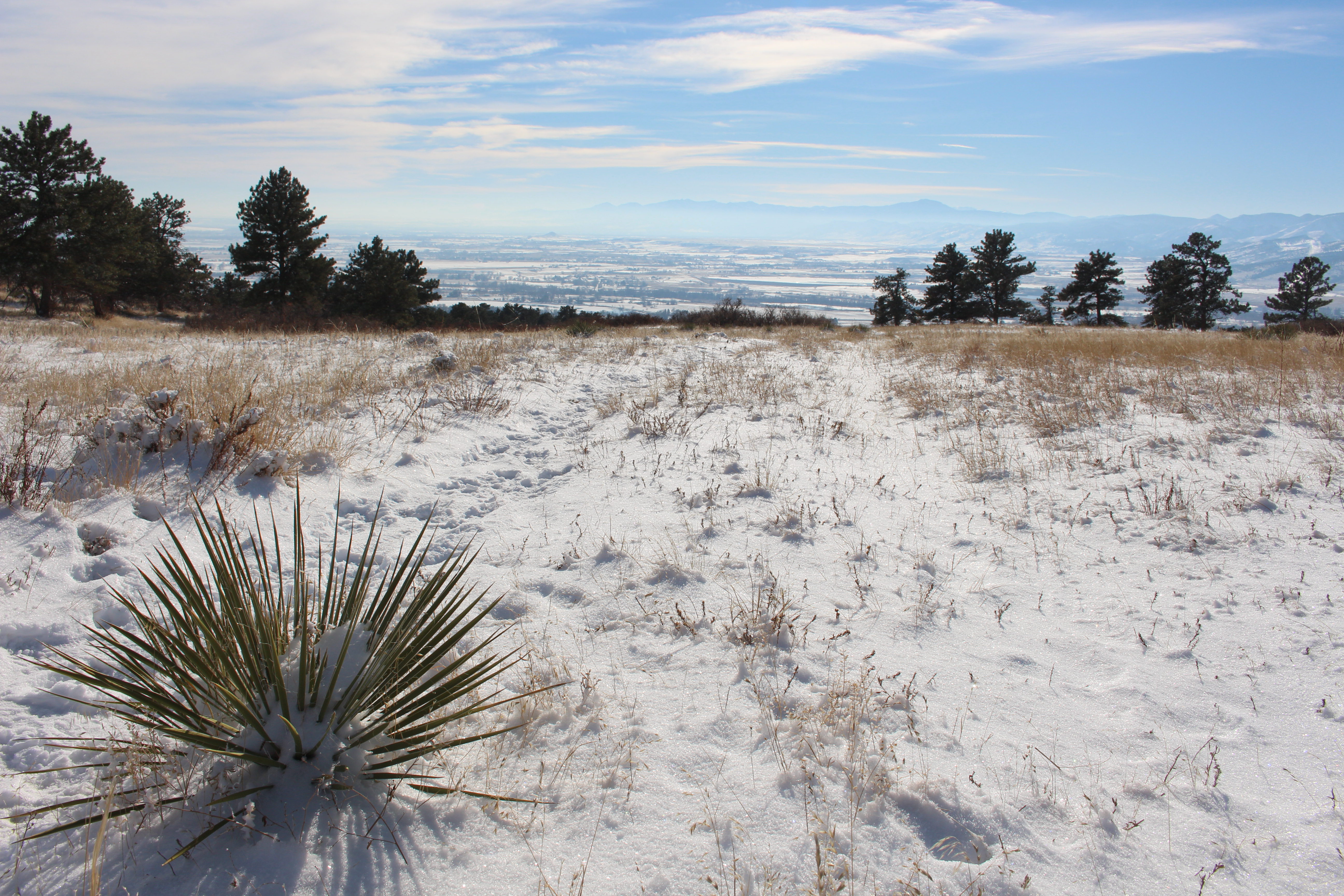 Macro and Micro Picture of the Day 2020-12-18