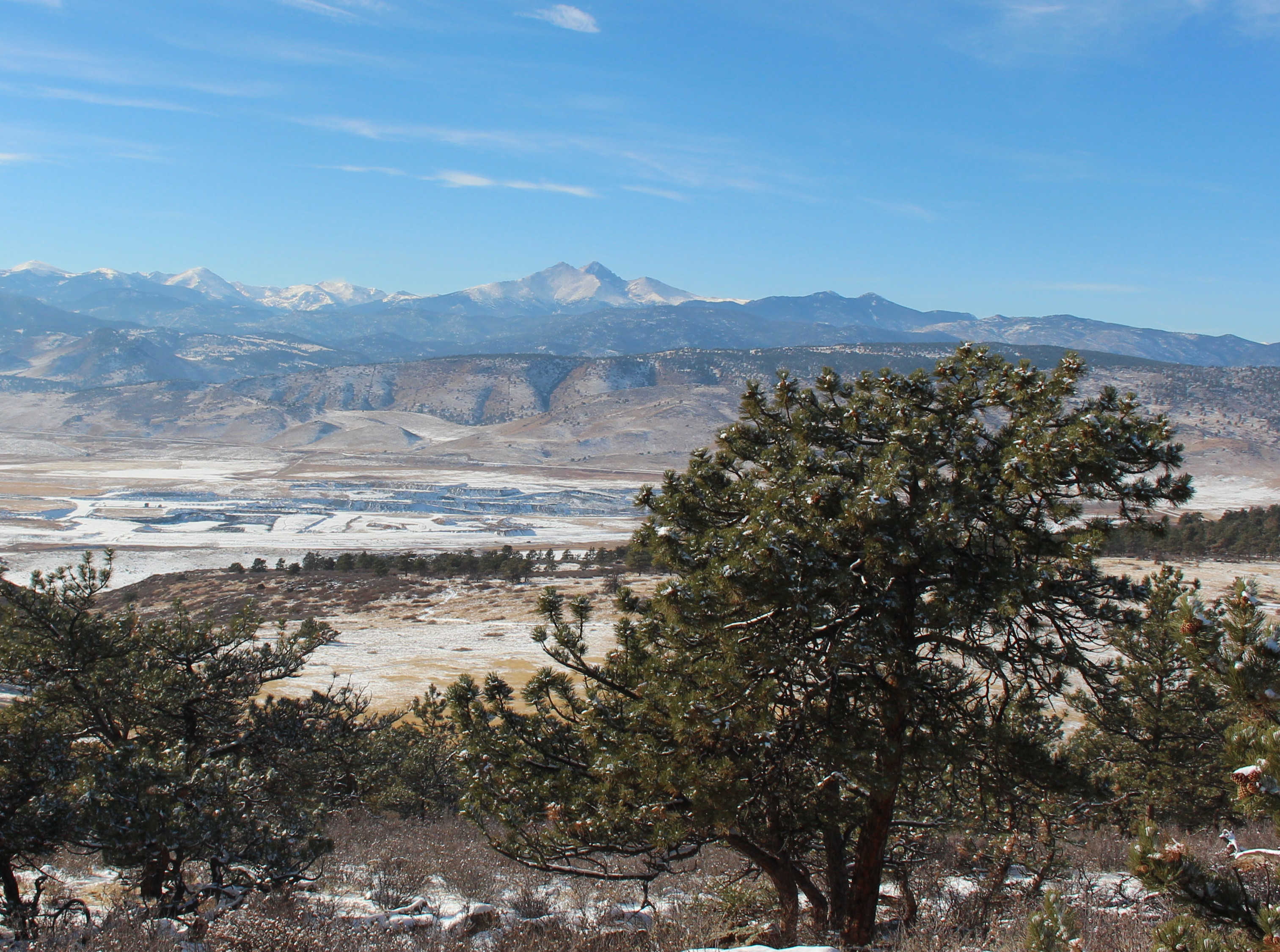 Macro and Micro Picture of the Day 2020-12-19