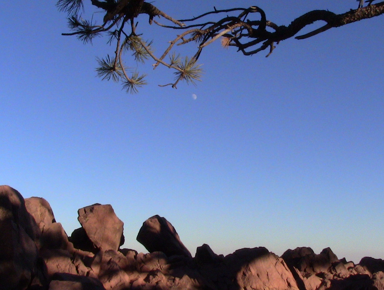 Macro and Micro Picture of the Day 2020-12-20