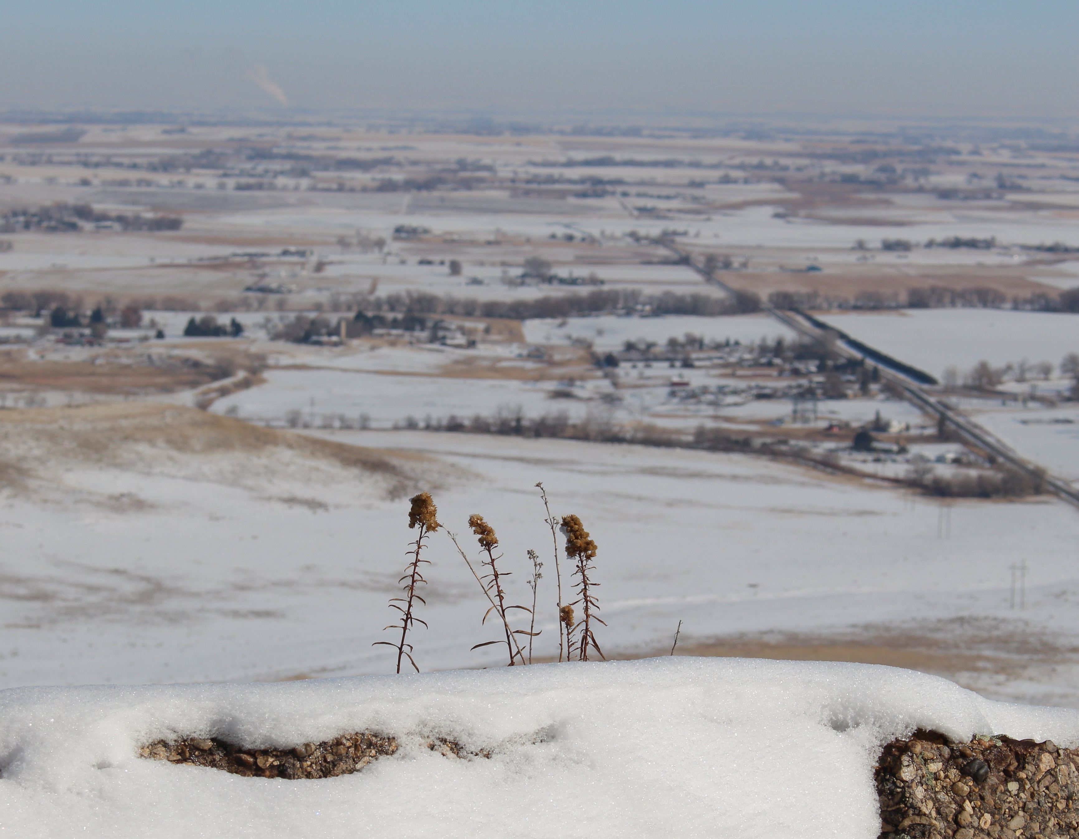 Macro and Micro Picture of the Day 2020-12-21