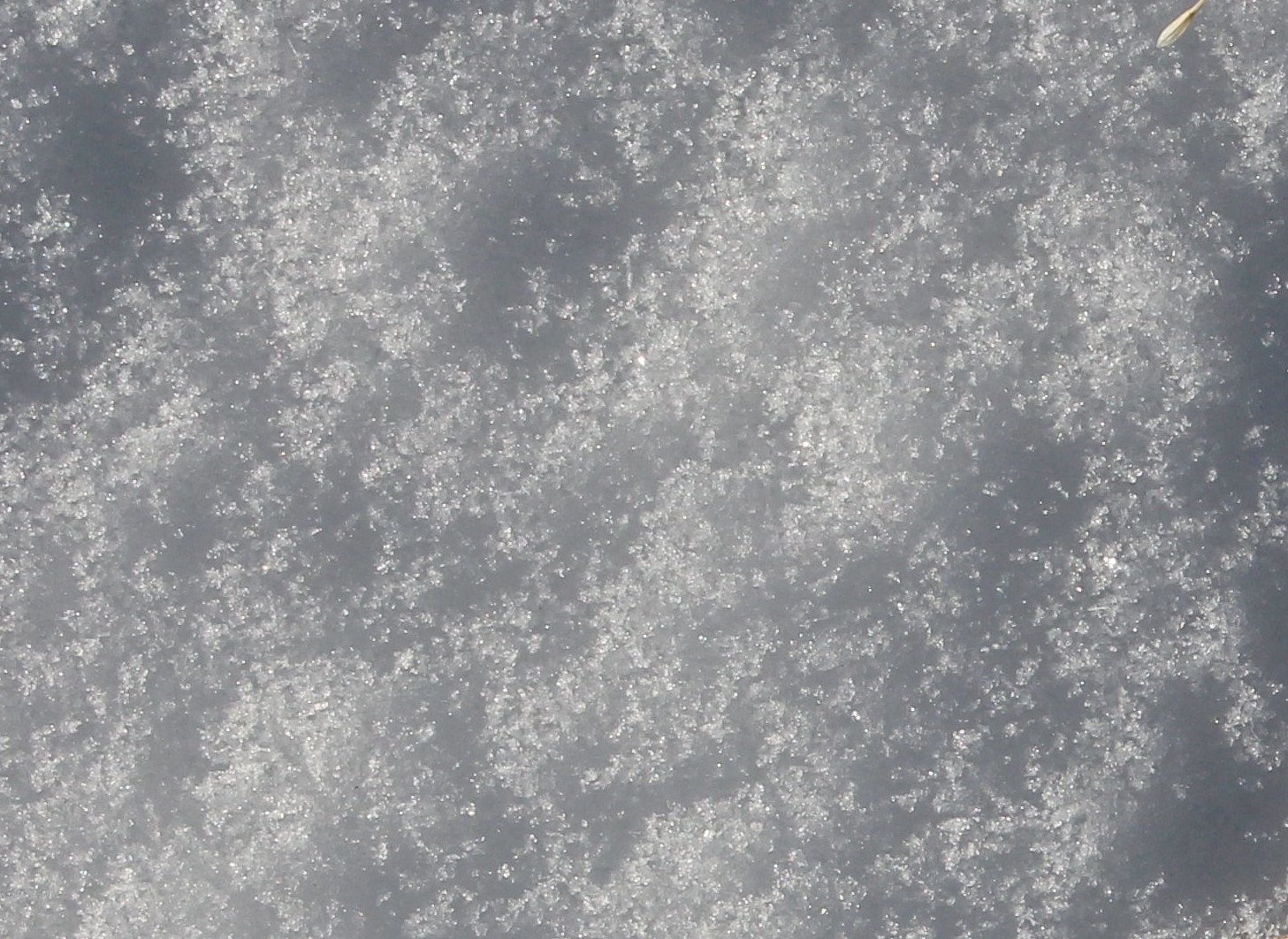 Macro and Micro Picture of the Day 2020-12-22