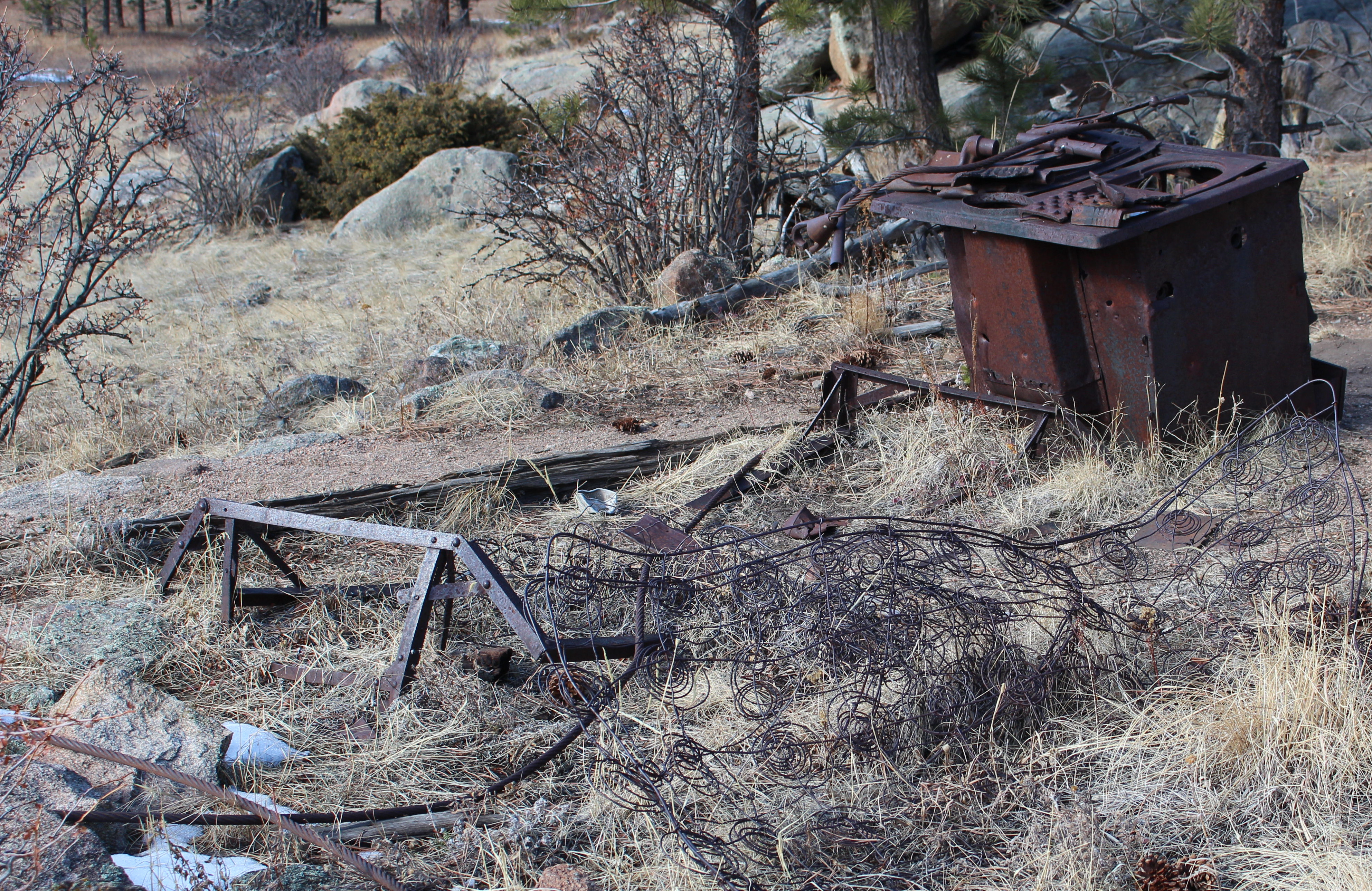 Macro and Micro Picture of the Day 2020-12-24