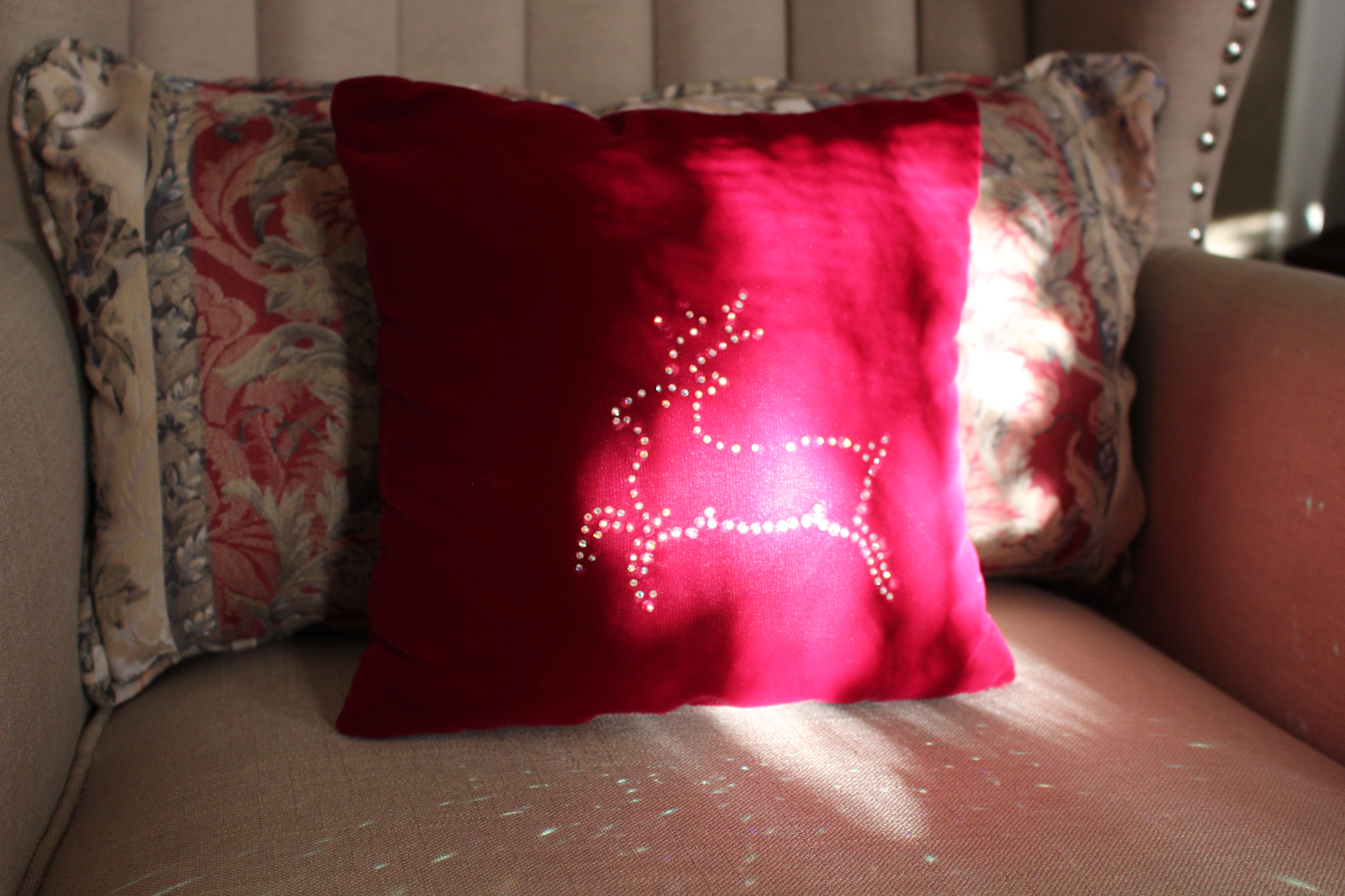 Macro and Micro Picture of the Day 2020-12-25