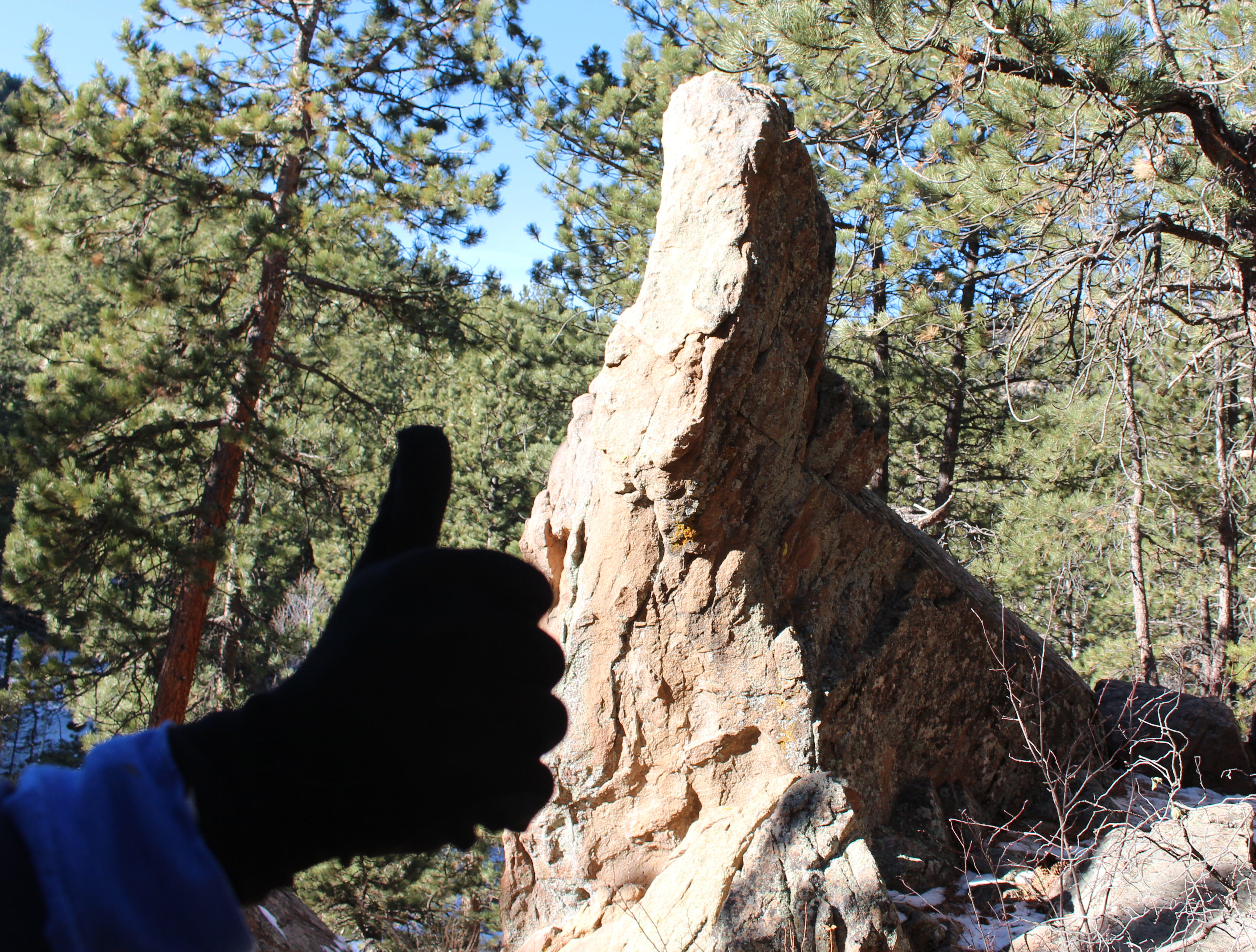 Macro and Micro Picture of the Day 2020-12-28