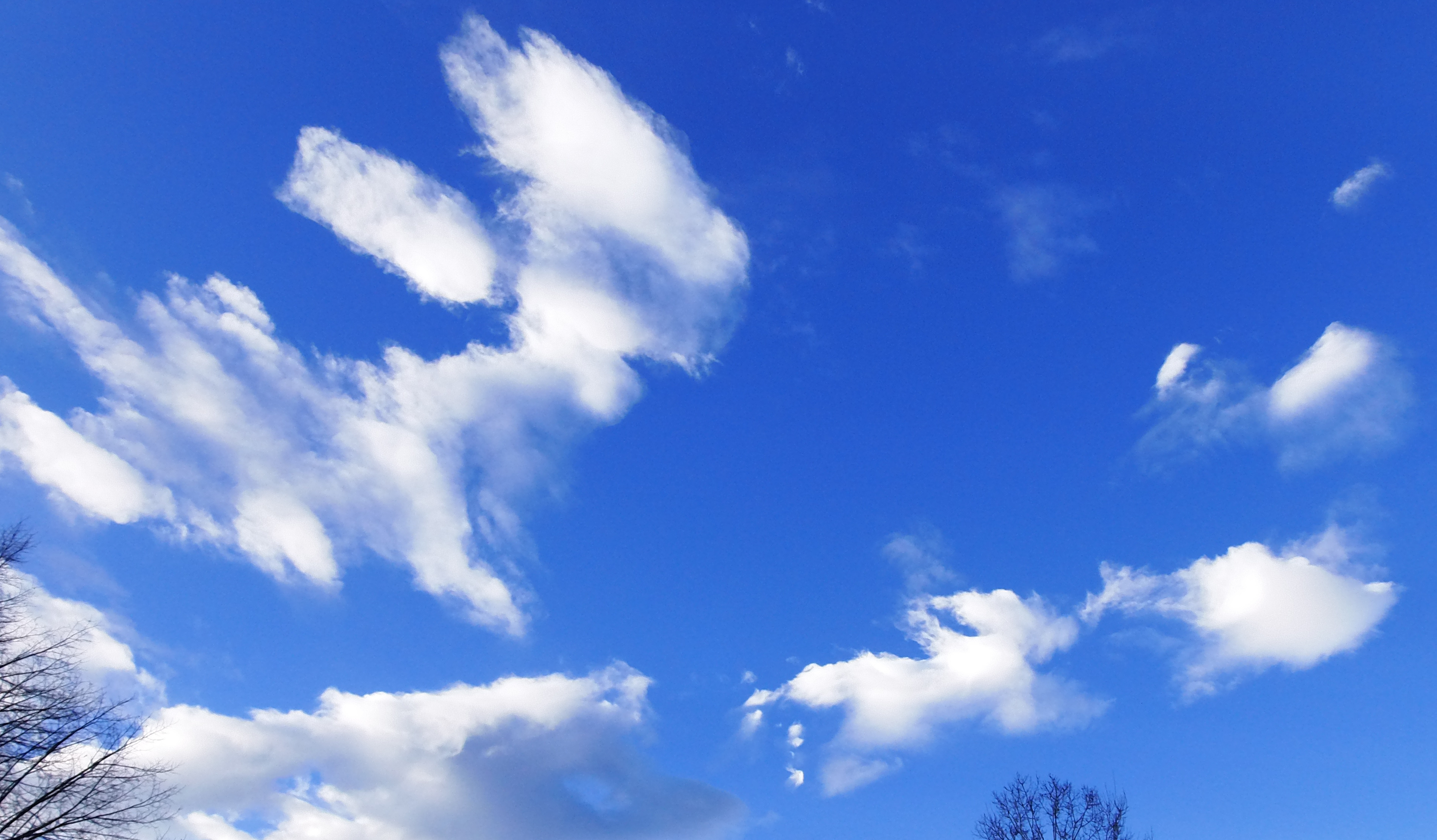 Macro and Micro Picture of the Day 2020-12-31