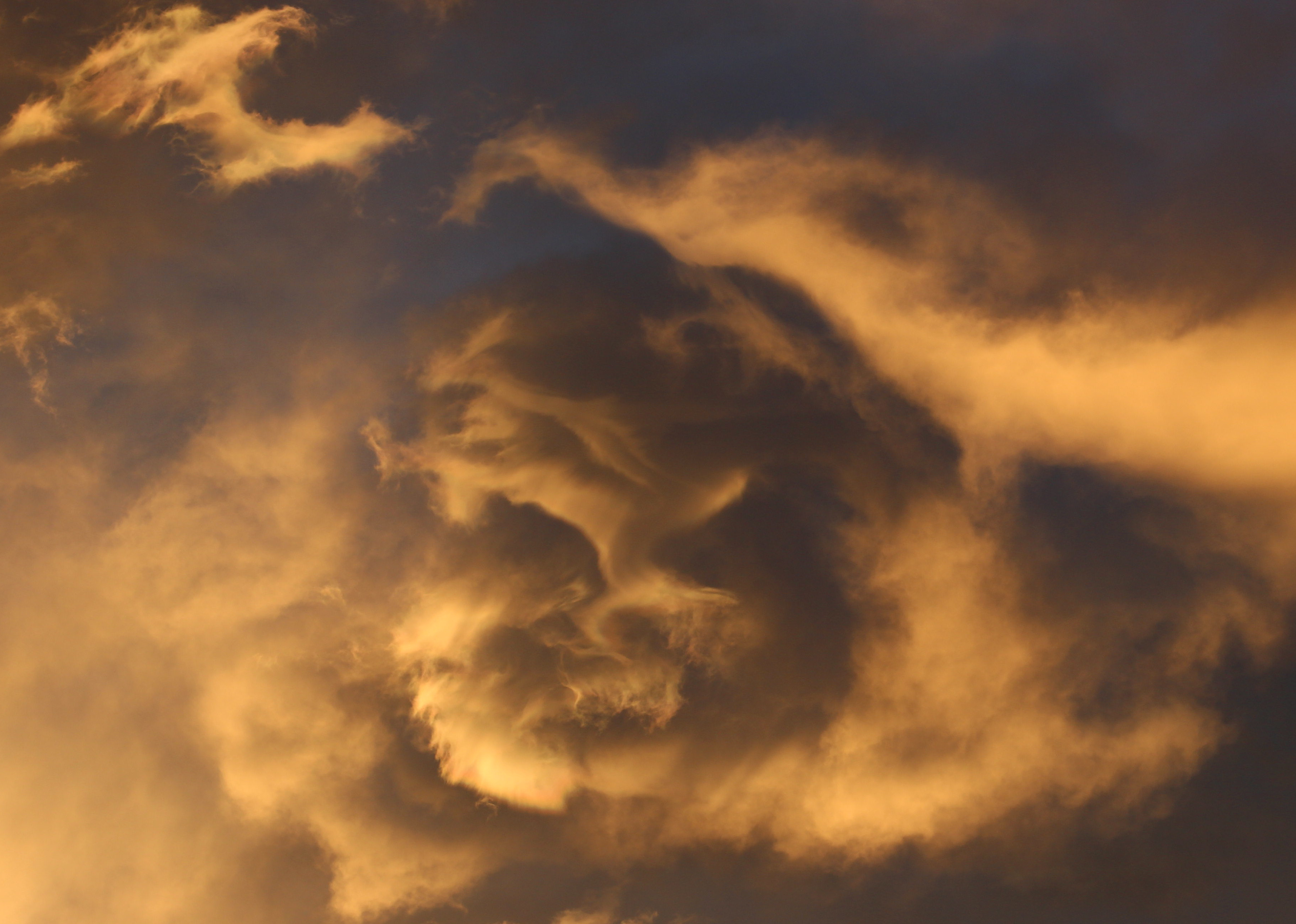 Macro and Micro Picture of the Day 2021-01-01