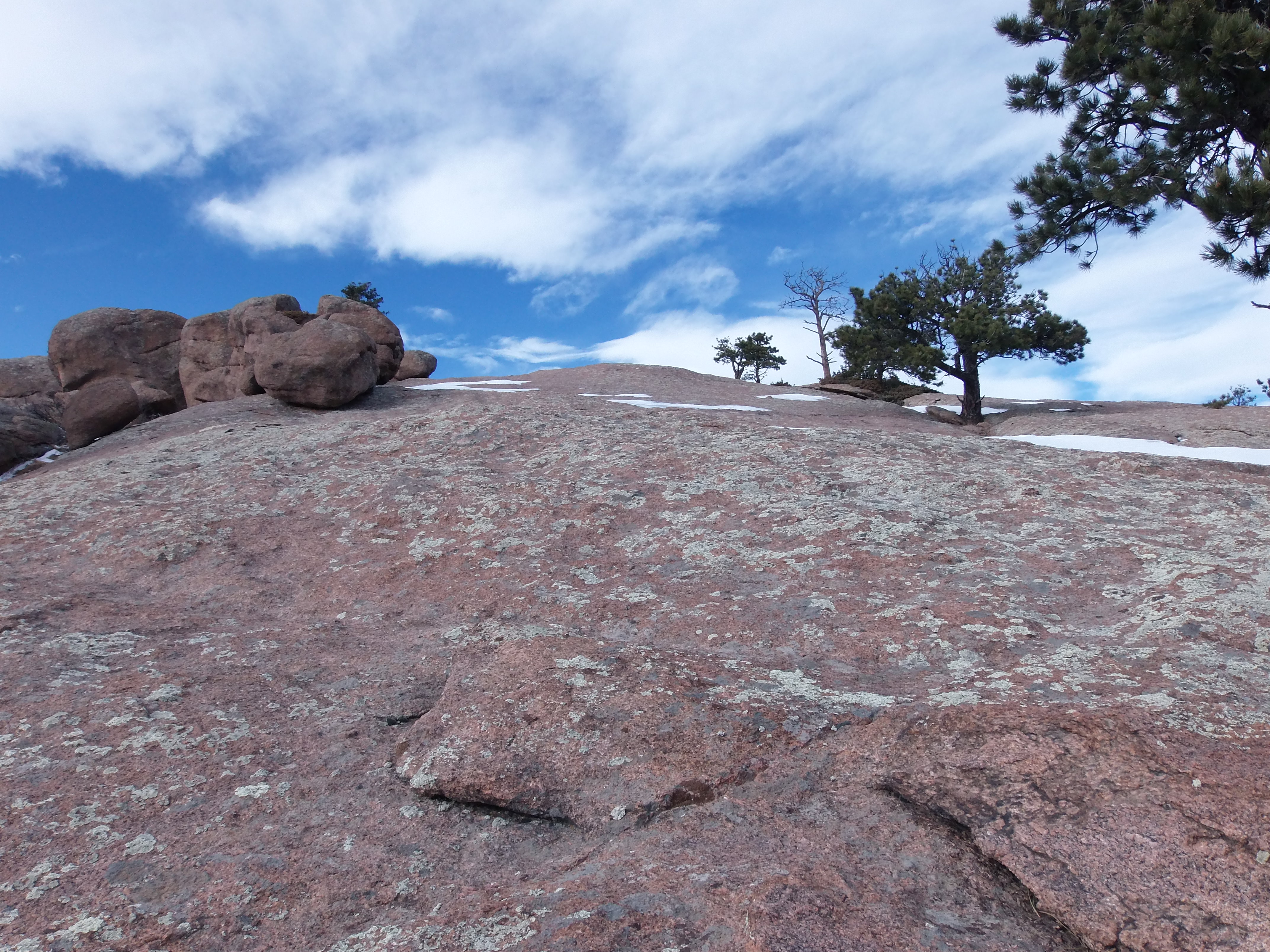 Macro and Micro Picture of the Day 2021-01-03