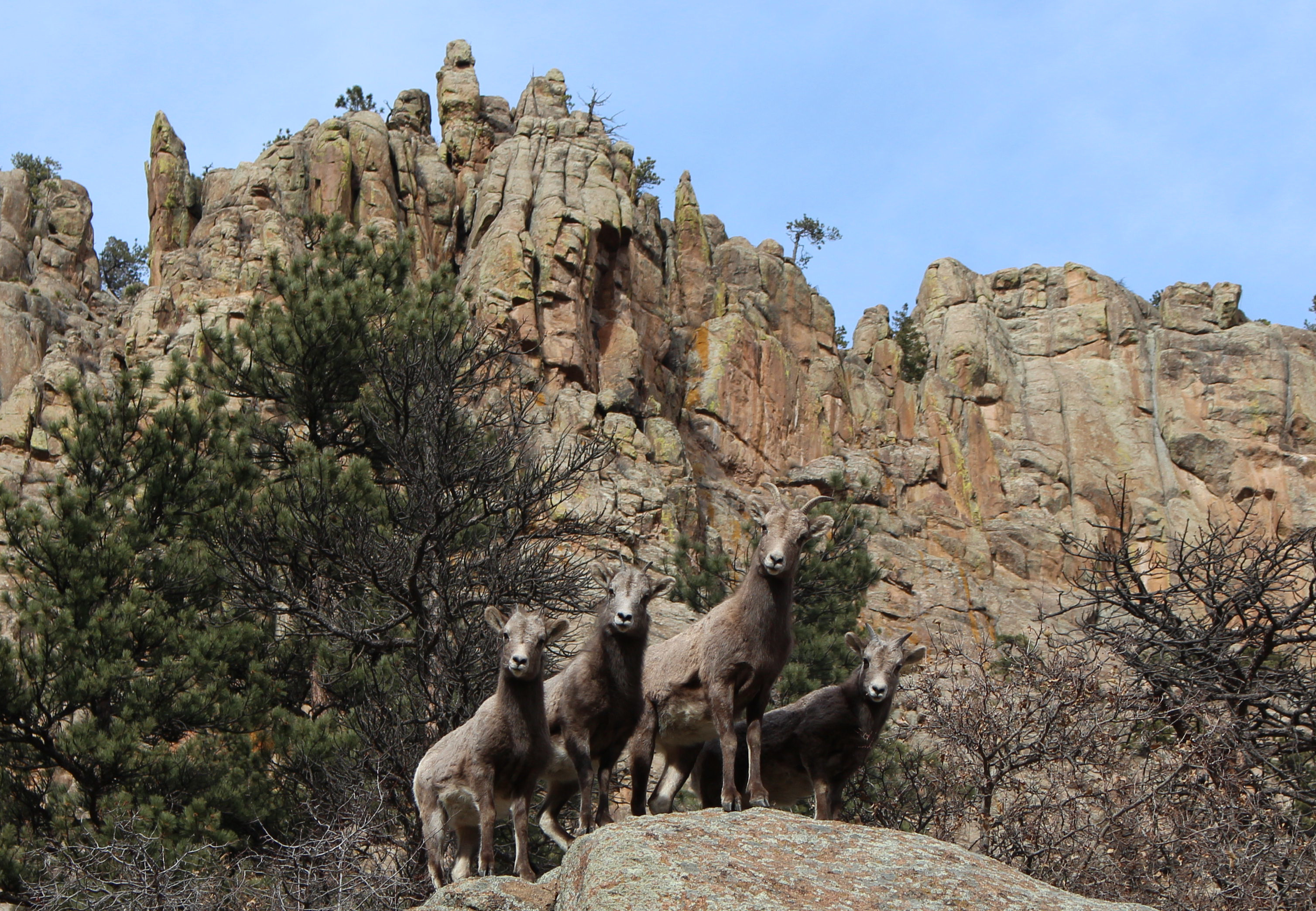 Macro and Micro Picture of the Day 2021-01-04