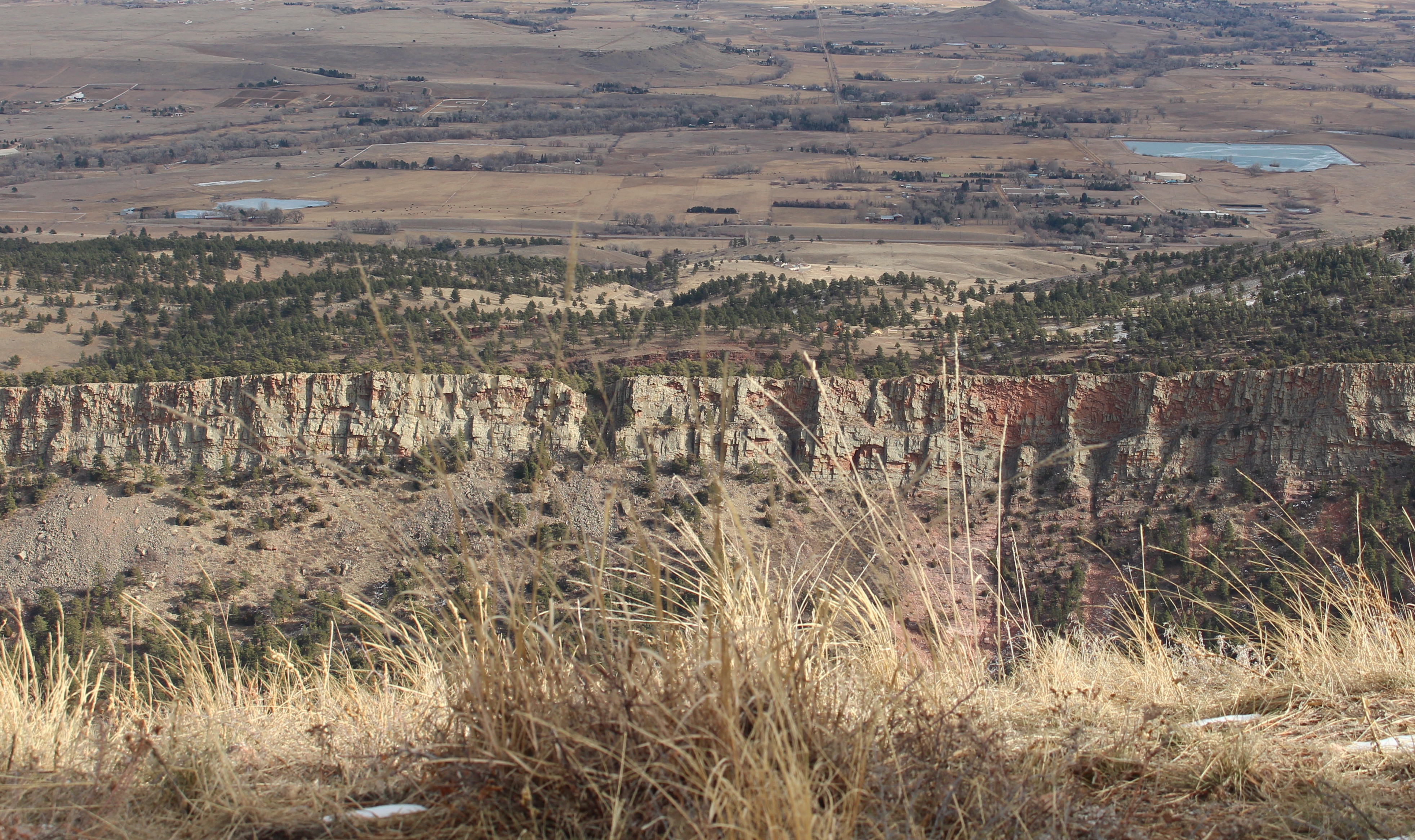 Macro and Micro Picture of the Day 2021-01-06