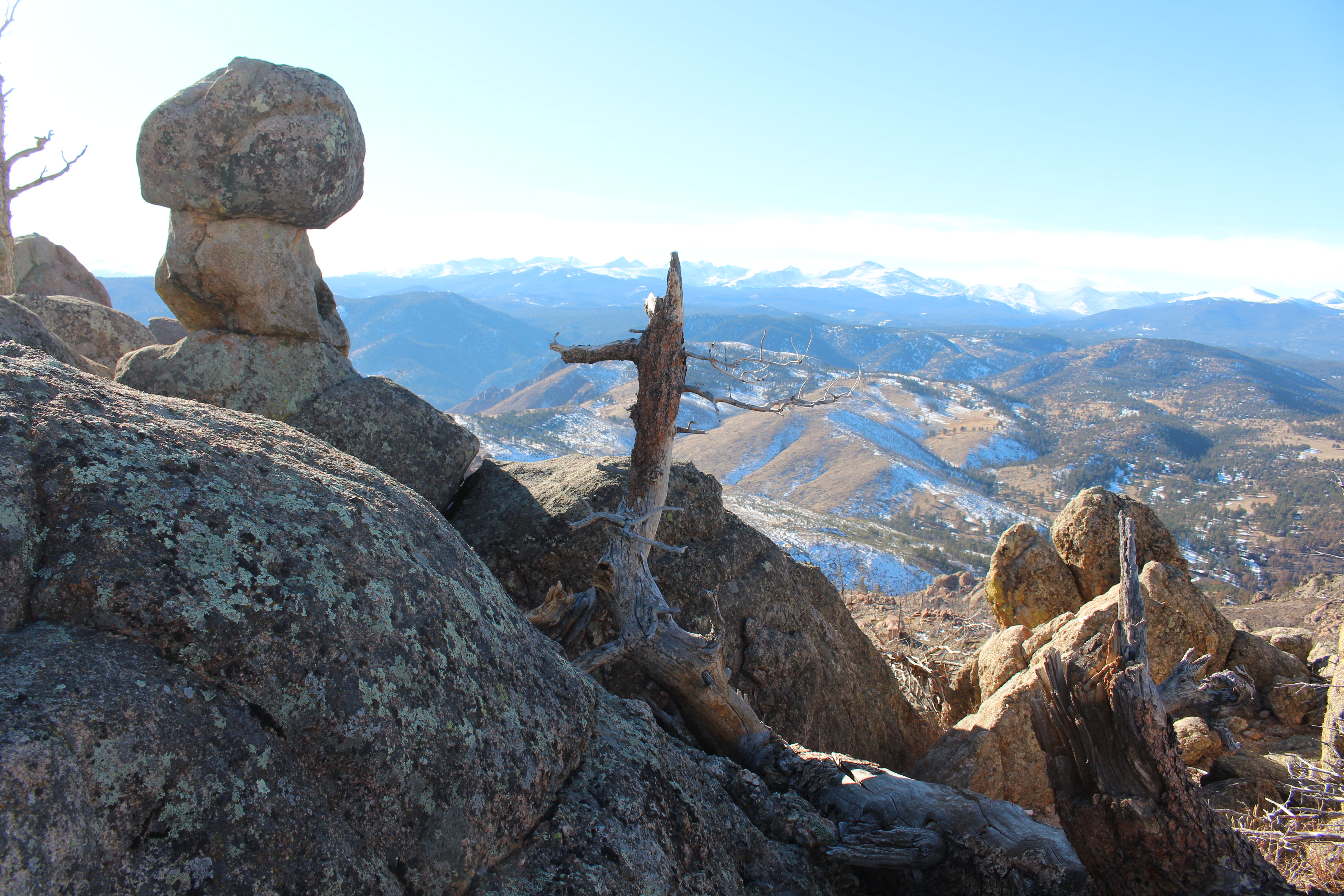 Macro and Micro Picture of the Day 2021-01-07