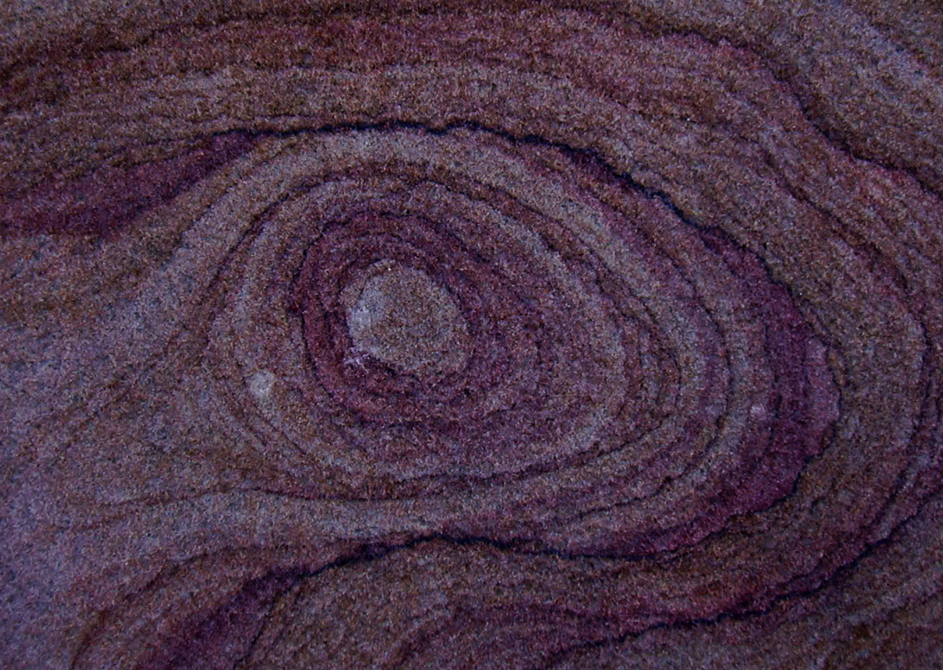 Macro and Micro Picture of the Day 2021-01-08