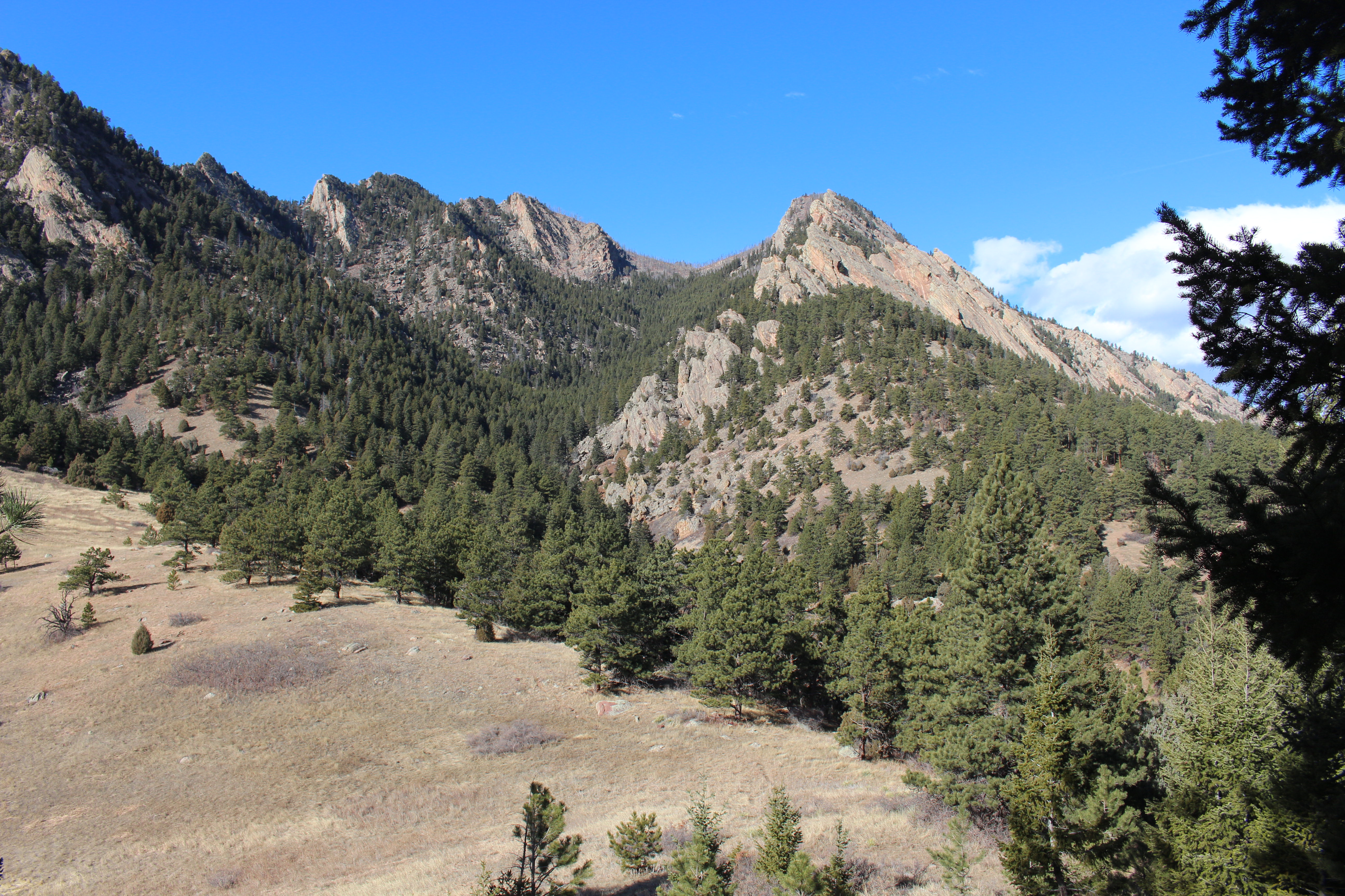 Macro and Micro Picture of the Day 2021-01-09