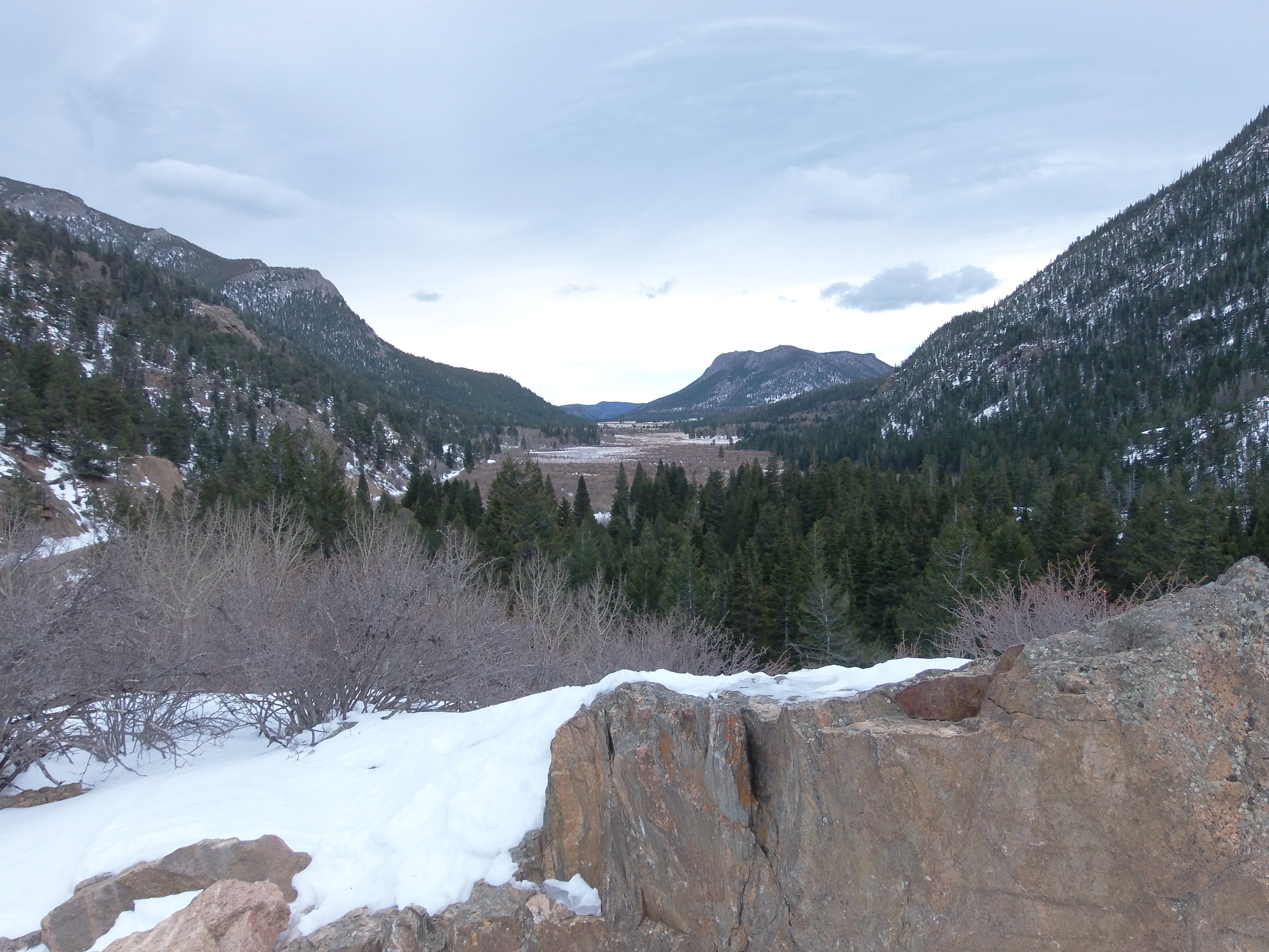 Macro and Micro Picture of the Day 2021-01-11