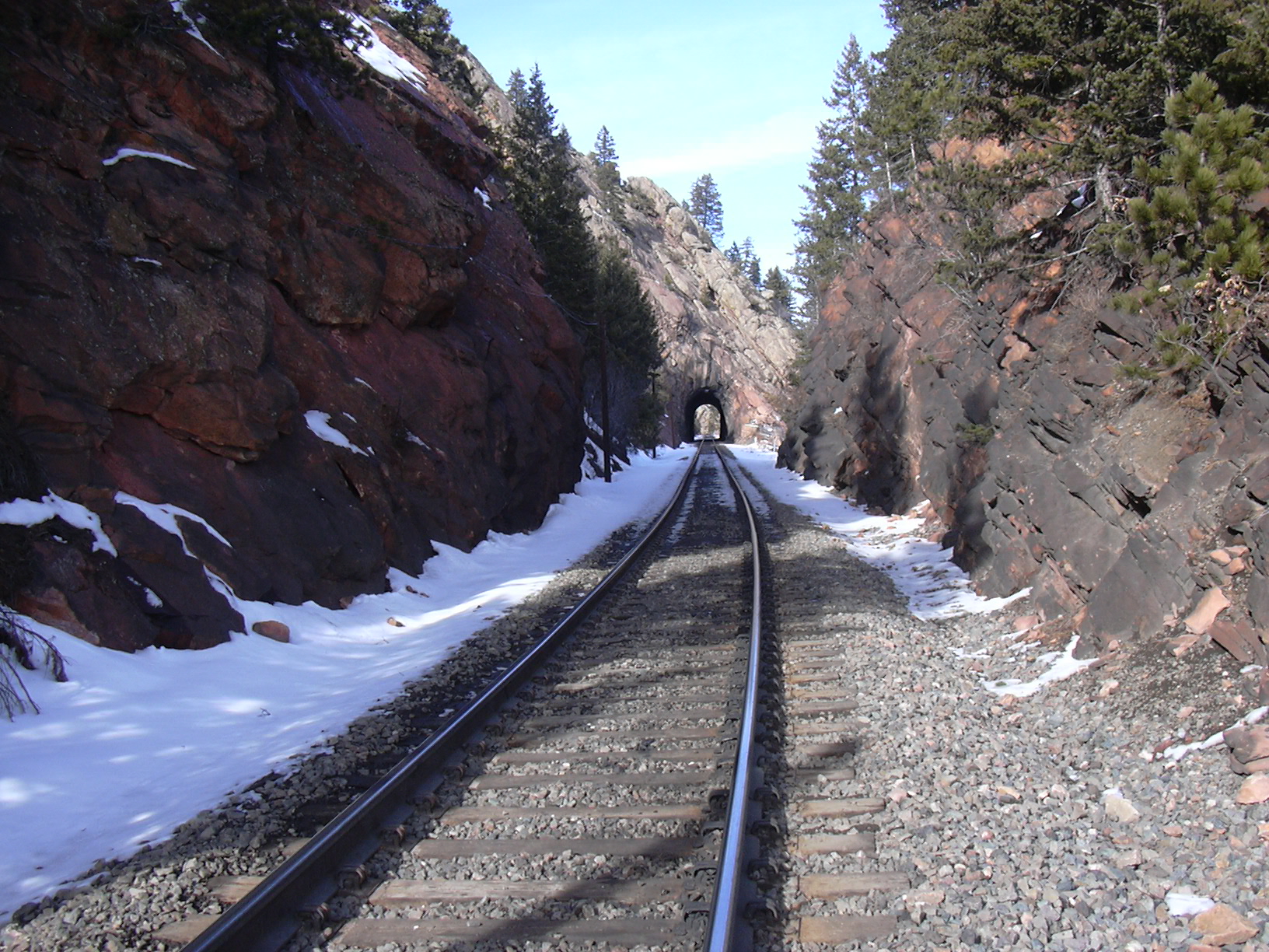 Macro and Micro Picture of the Day 2021-01-12