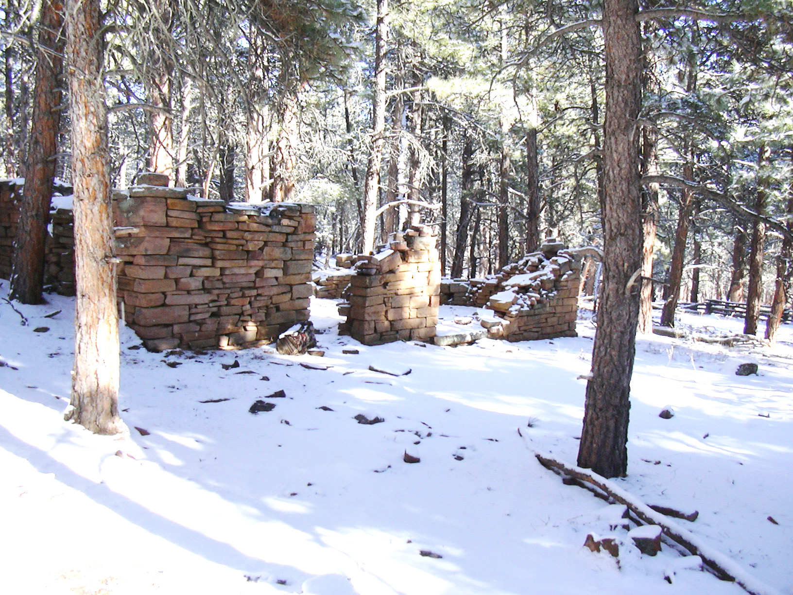 Macro and Micro Picture of the Day 2021-01-14