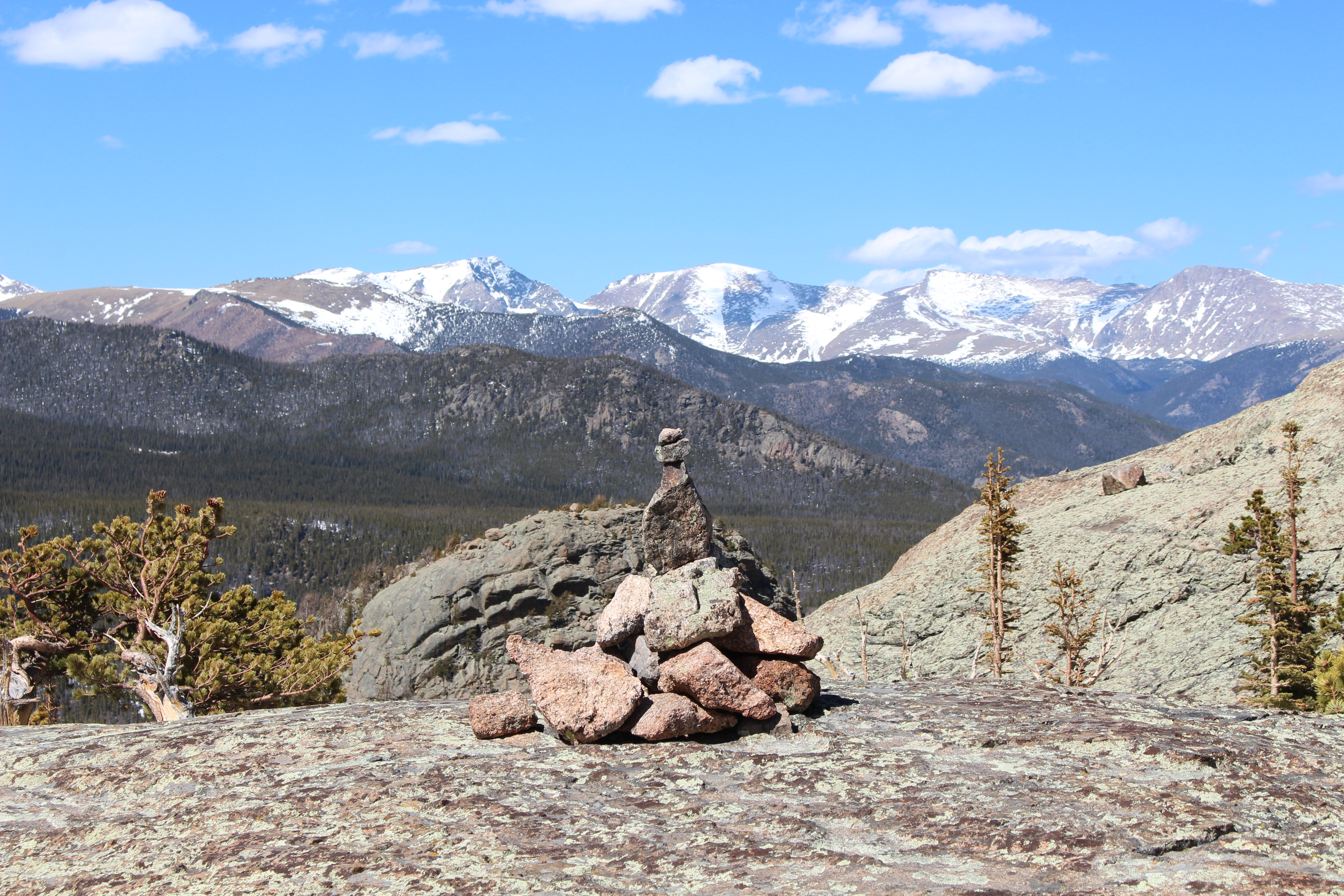 Macro and Micro Picture of the Day 2021-01-15