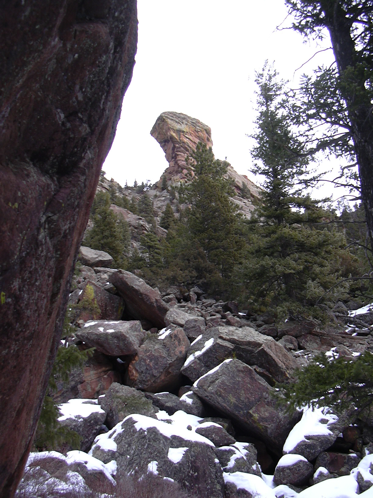 Macro and Micro Picture of the Day 2021-01-16