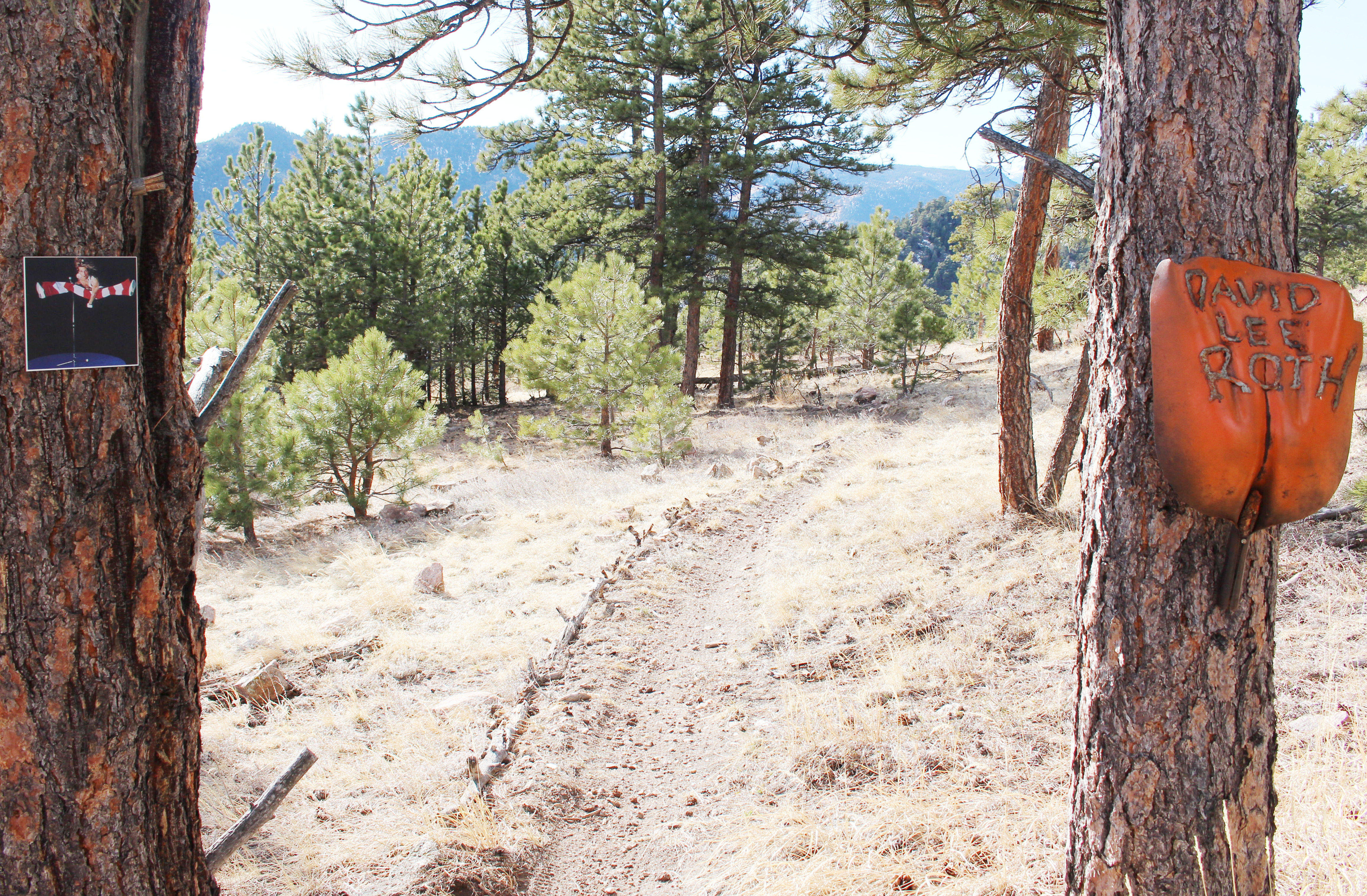 Macro and Micro Picture of the Day 2021-01-17