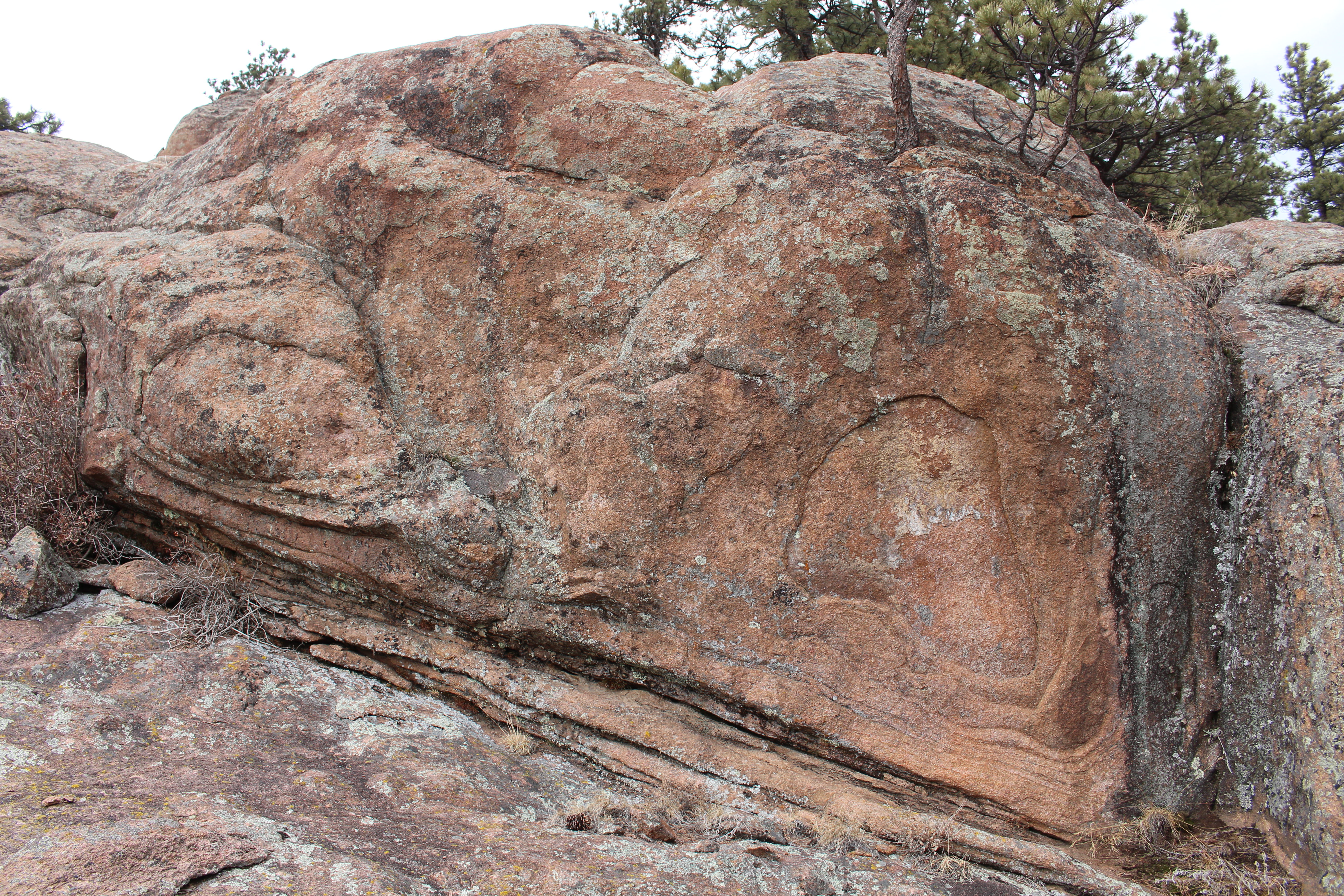 Macro and Micro Picture of the Day 2021-01-21