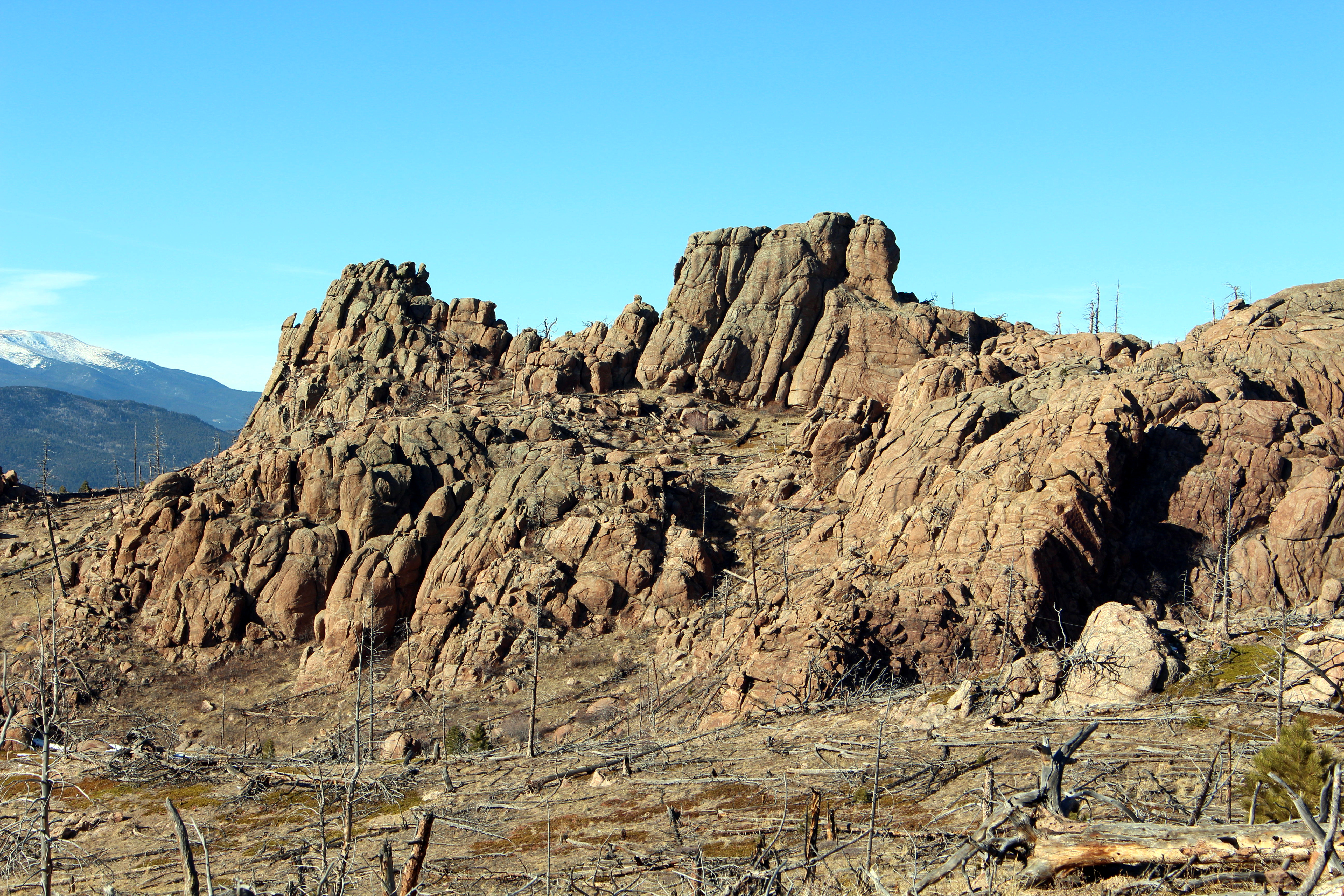 Macro and Micro Picture of the Day 2021-01-22