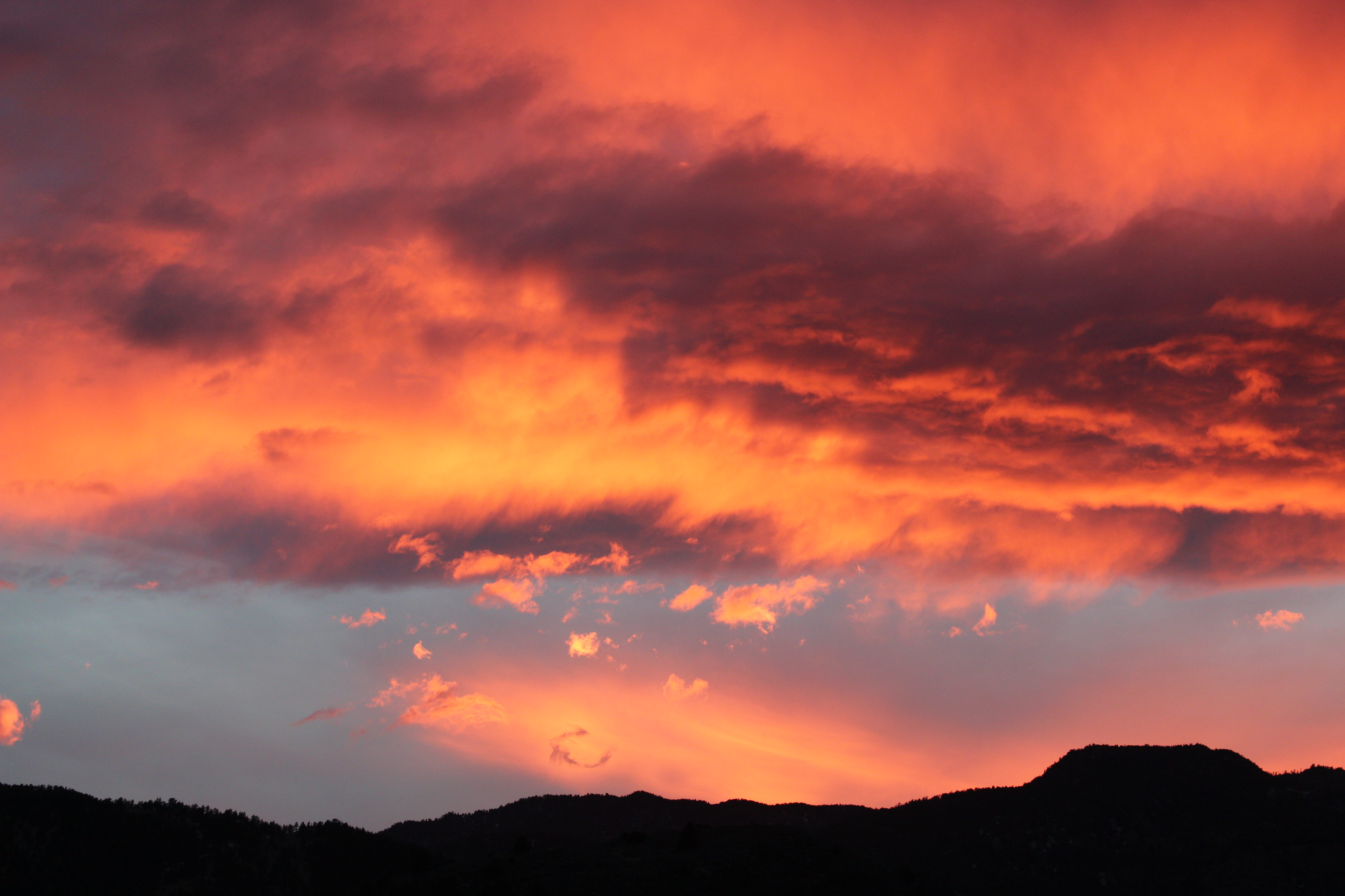 Macro and Micro Picture of the Day 2021-01-24