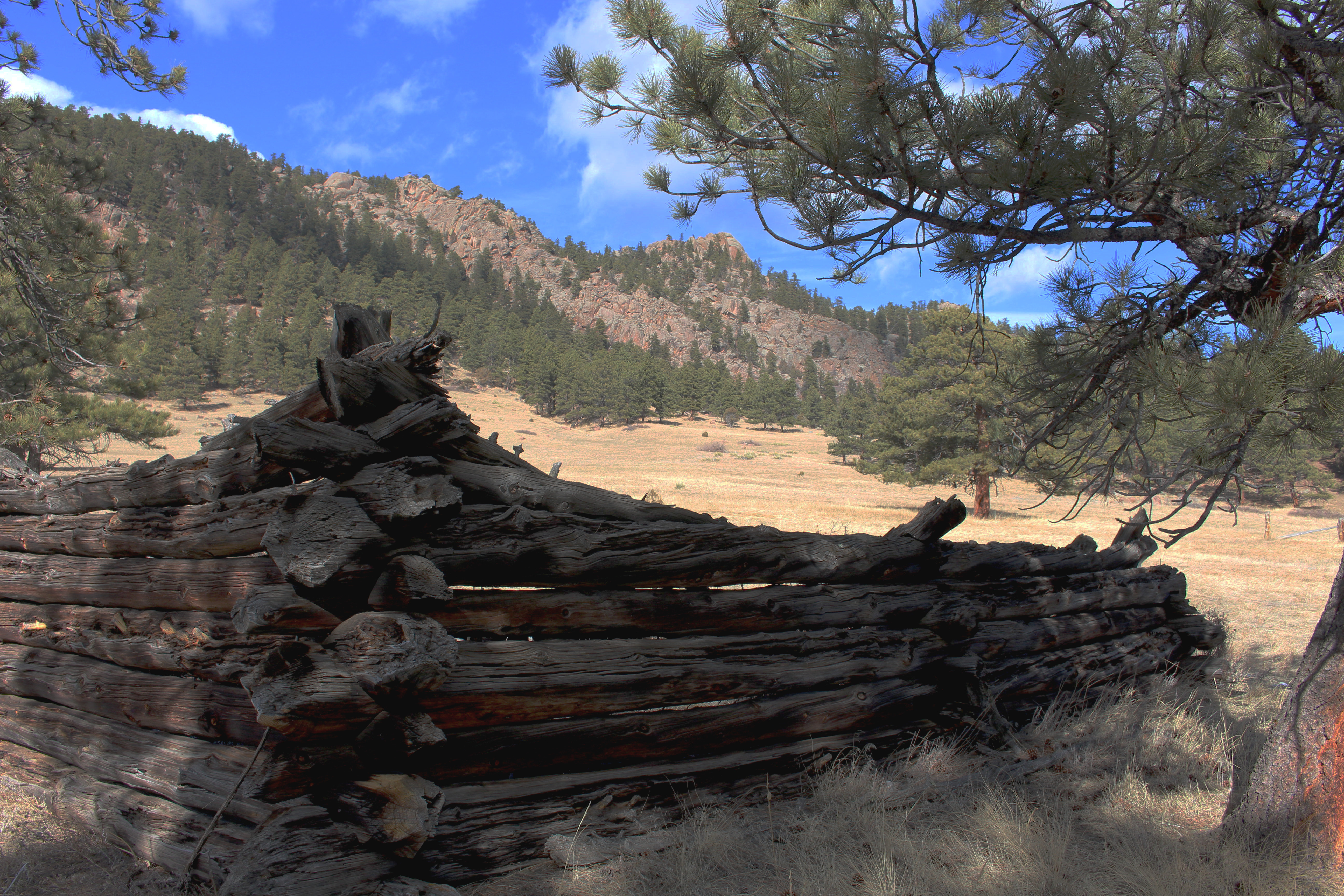 Macro and Micro Picture of the Day 2021-01-26