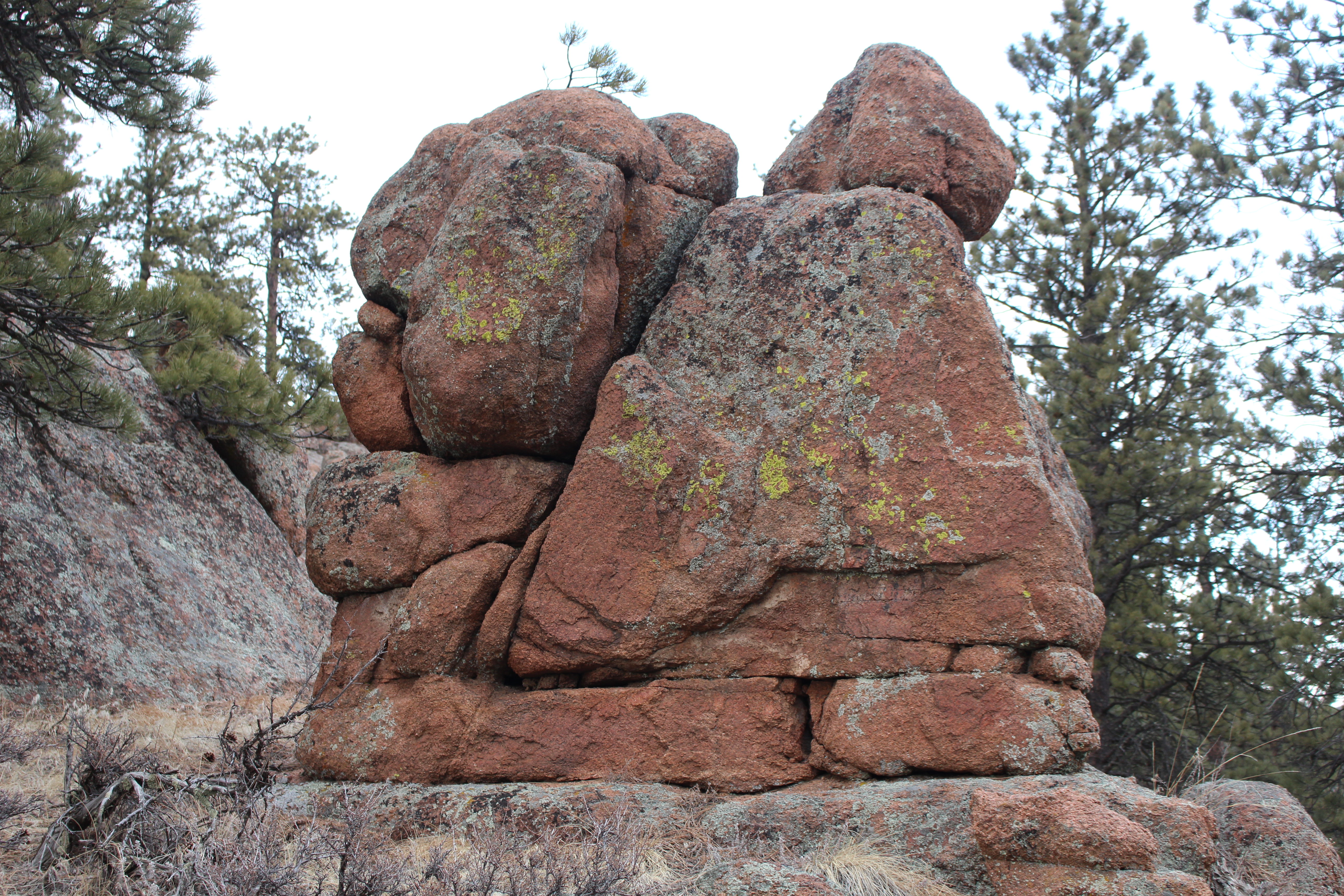 Macro and Micro Picture of the Day 2021-01-29